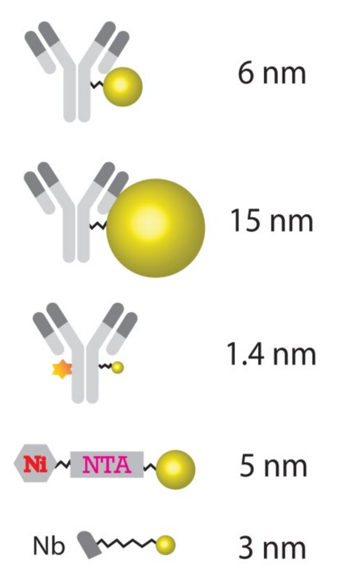 Ijms 23 04615 g001 Ijms 23 04615 g001