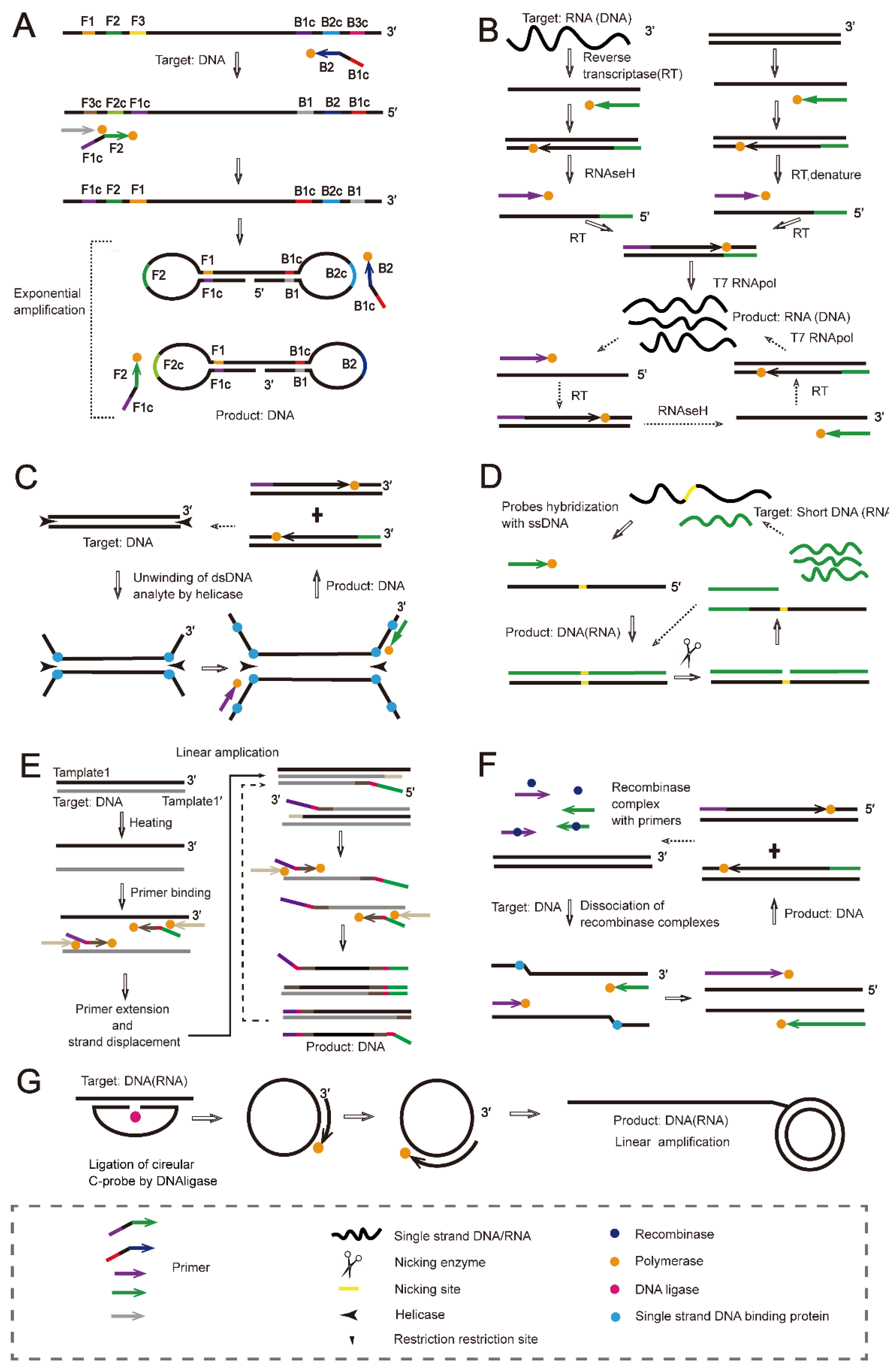 Ijms 23 04620 g001 Ijms 23 04620 g001