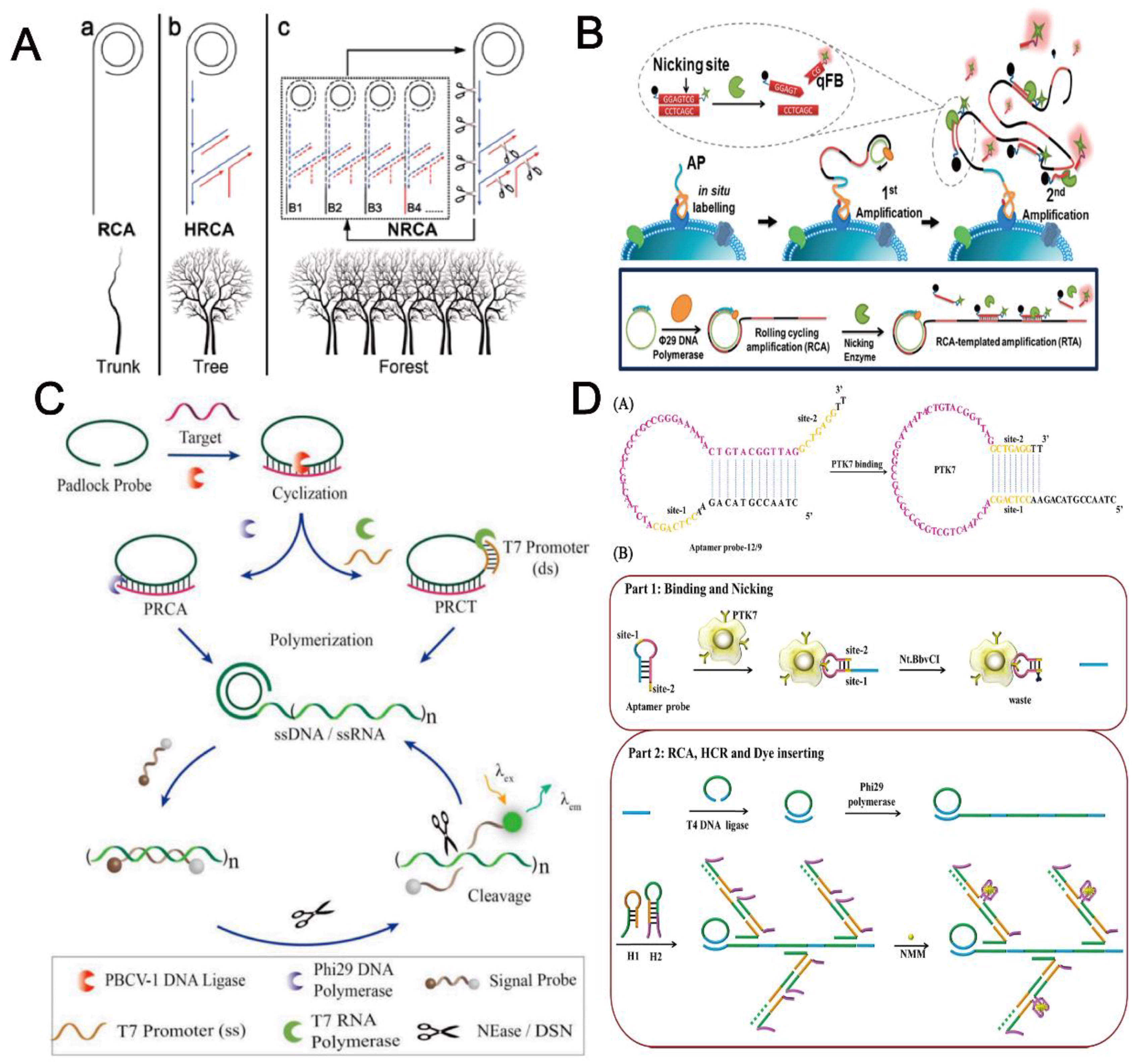 Ijms 23 04620 g004 Ijms 23 04620 g004