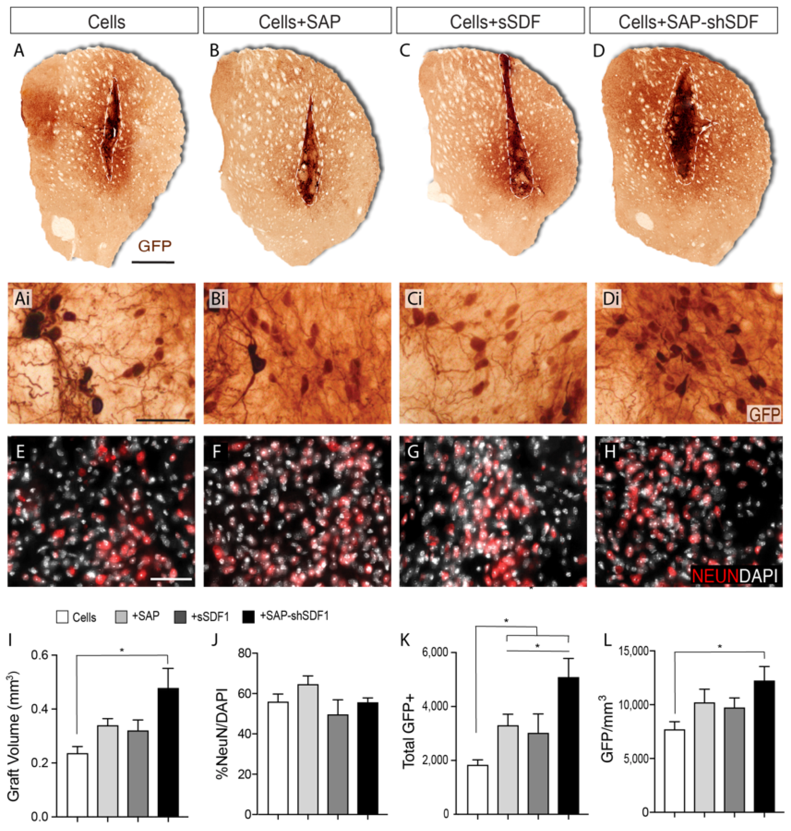 Ijms 23 04646 g002 Ijms 23 04646 g002