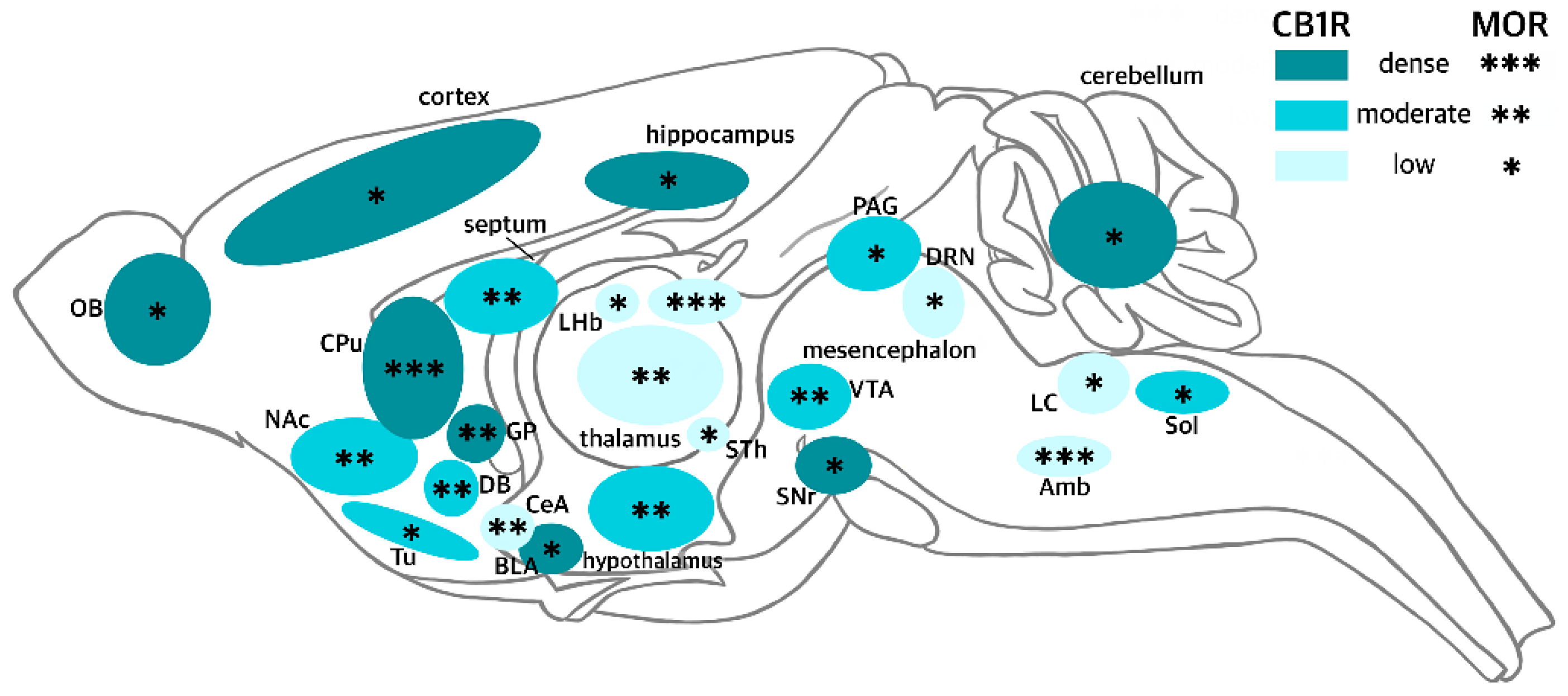 Ijms 23 04665 sch002