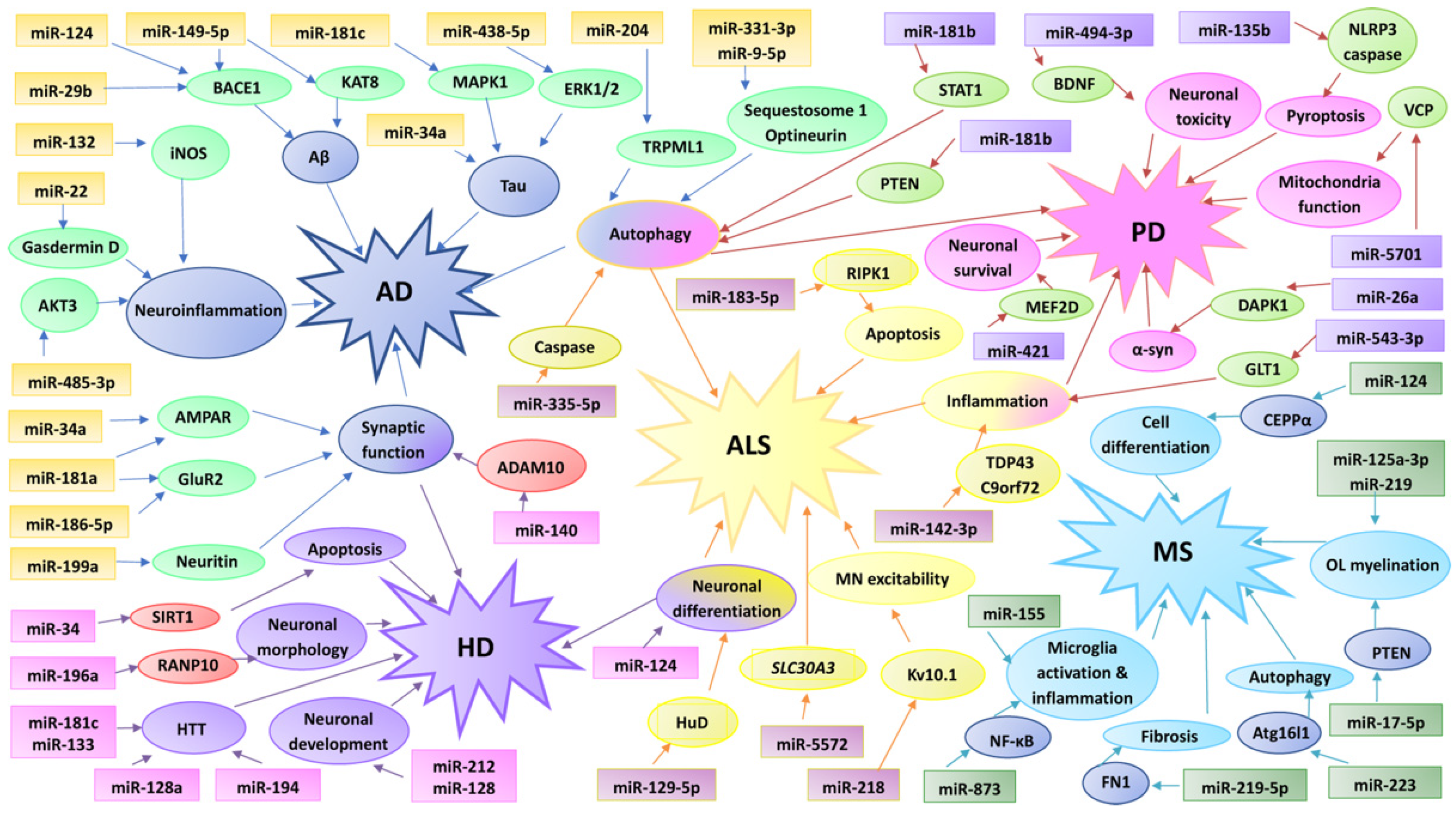 Ijms 23 04718 g001 Ijms 23 04718 g001