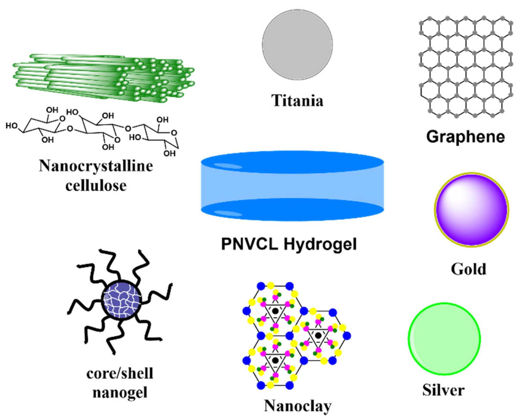 Ijms 23 04722 g004 Ijms 23 04722 g004