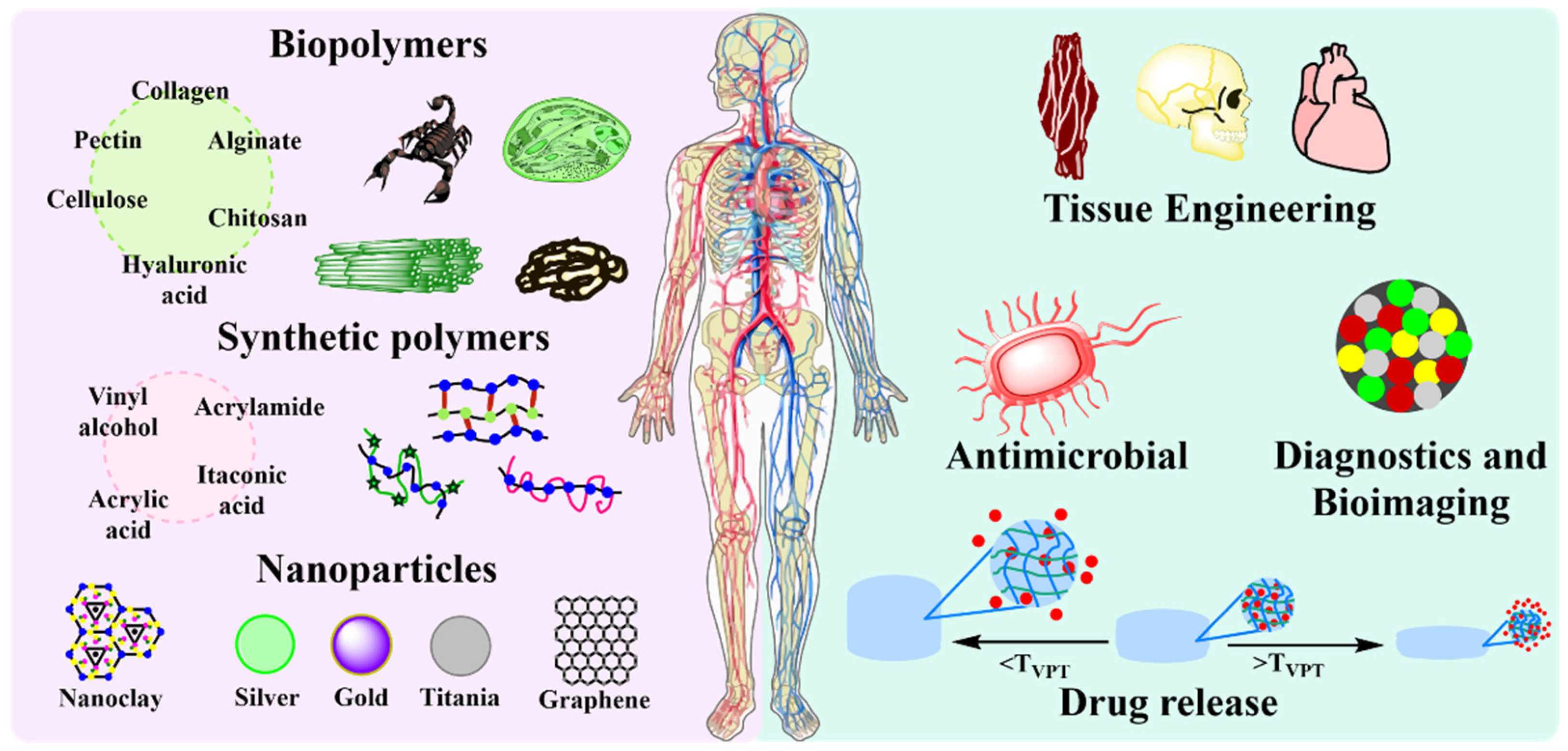 Ijms 23 04722 g005 Ijms 23 04722 g005