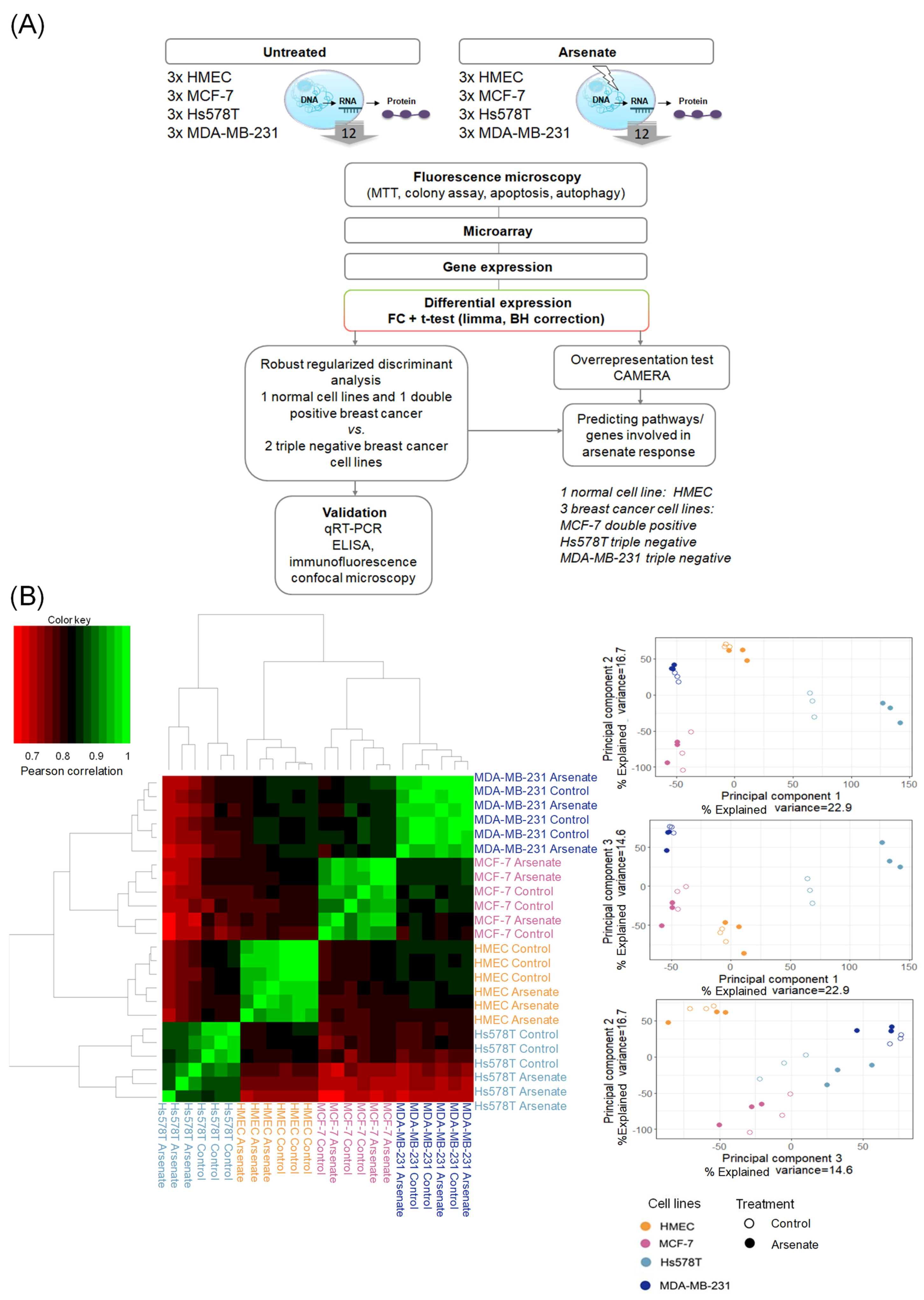 Ijms 23 04784 g004 Ijms 23 04784 g004