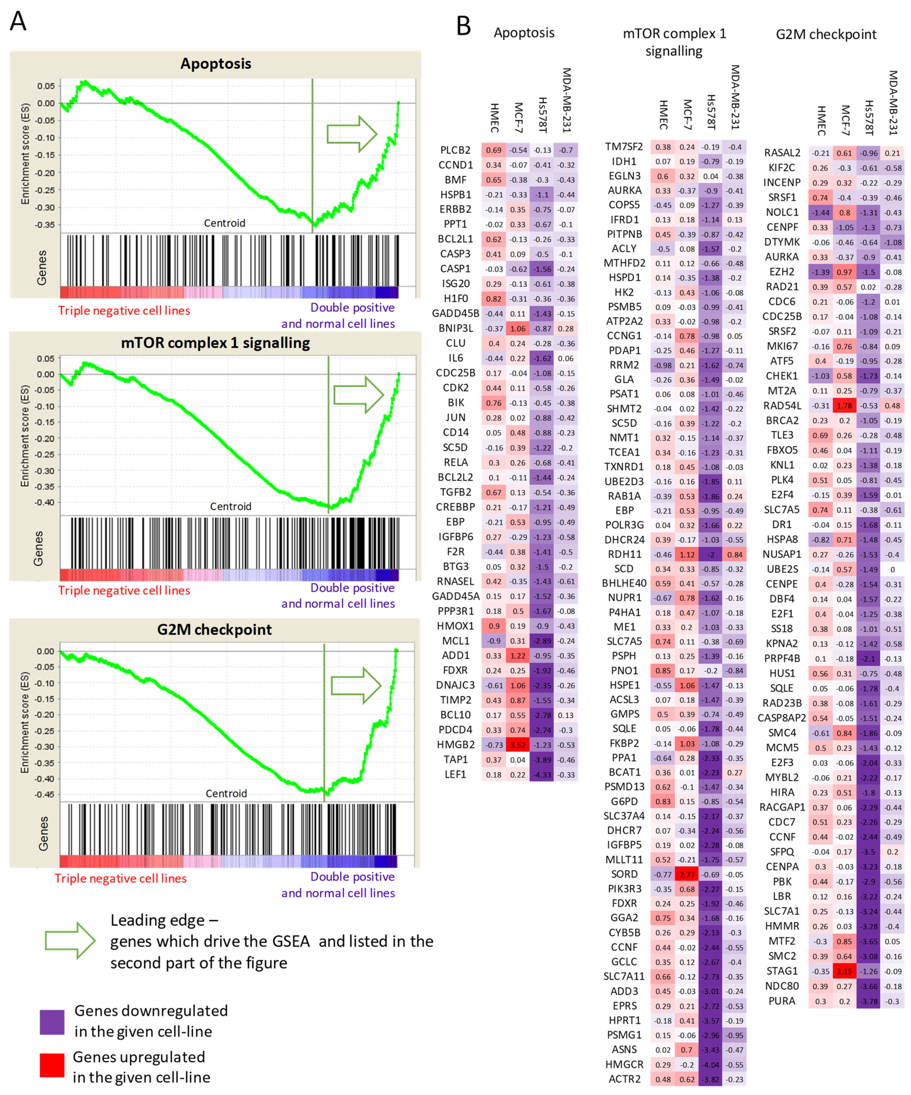 Ijms 23 04784 g005 Ijms 23 04784 g005