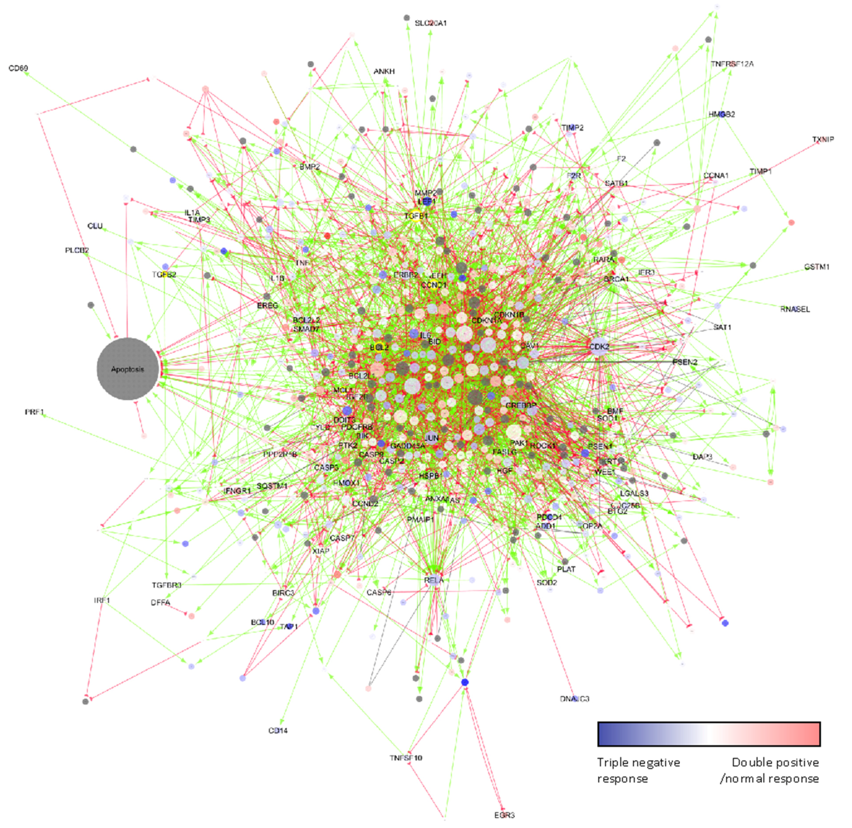 Ijms 23 04784 g006 Ijms 23 04784 g006