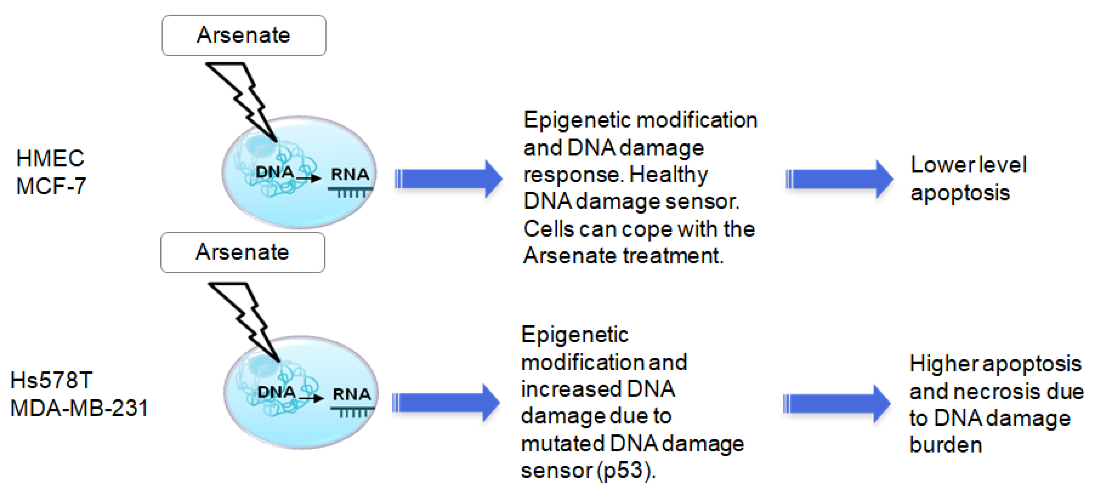 Ijms 23 04784 g009 Ijms 23 04784 g009