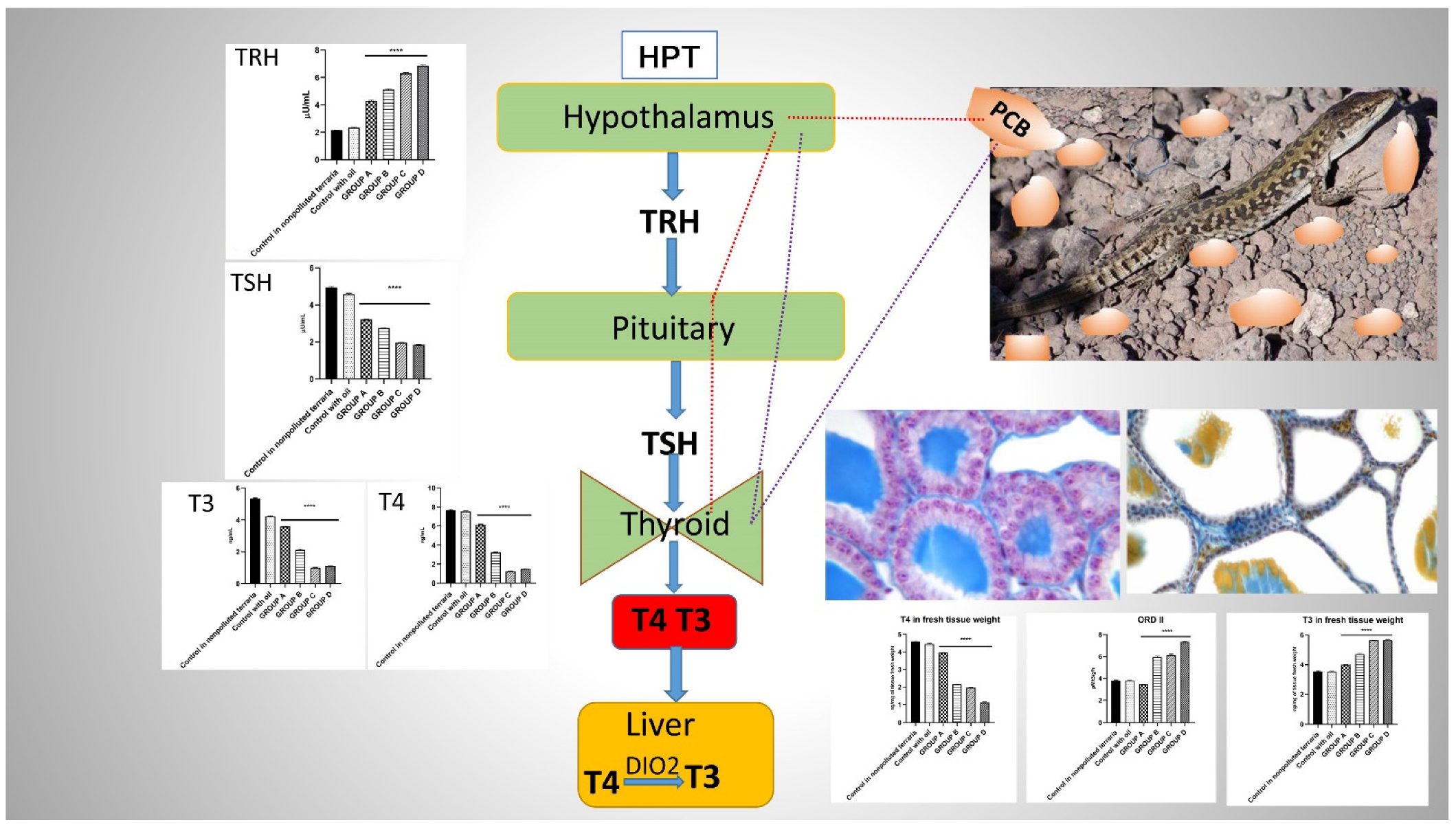 Ijms 23 04790 g005 Ijms 23 04790 g005