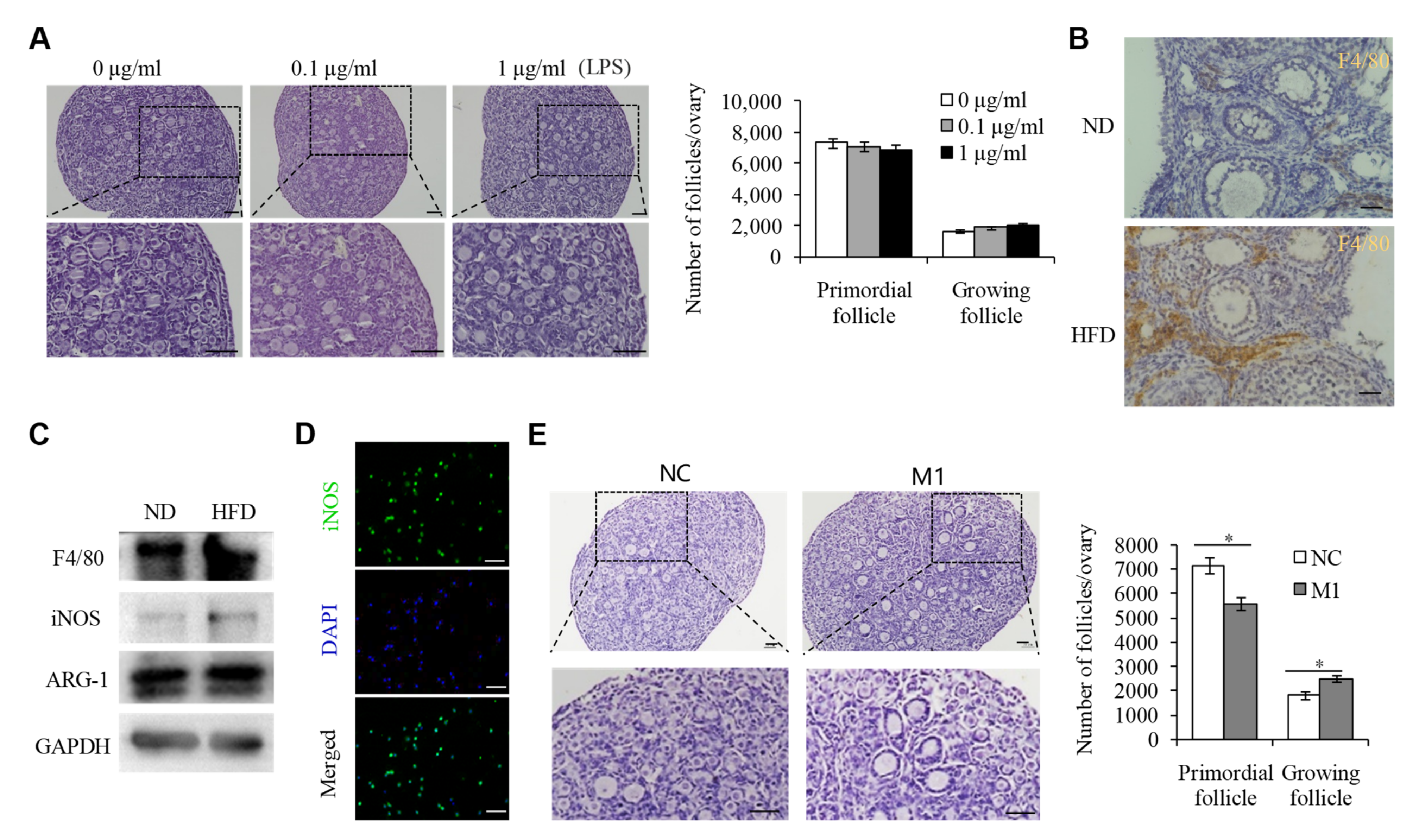 Ijms 23 04797 g002 Ijms 23 04797 g002