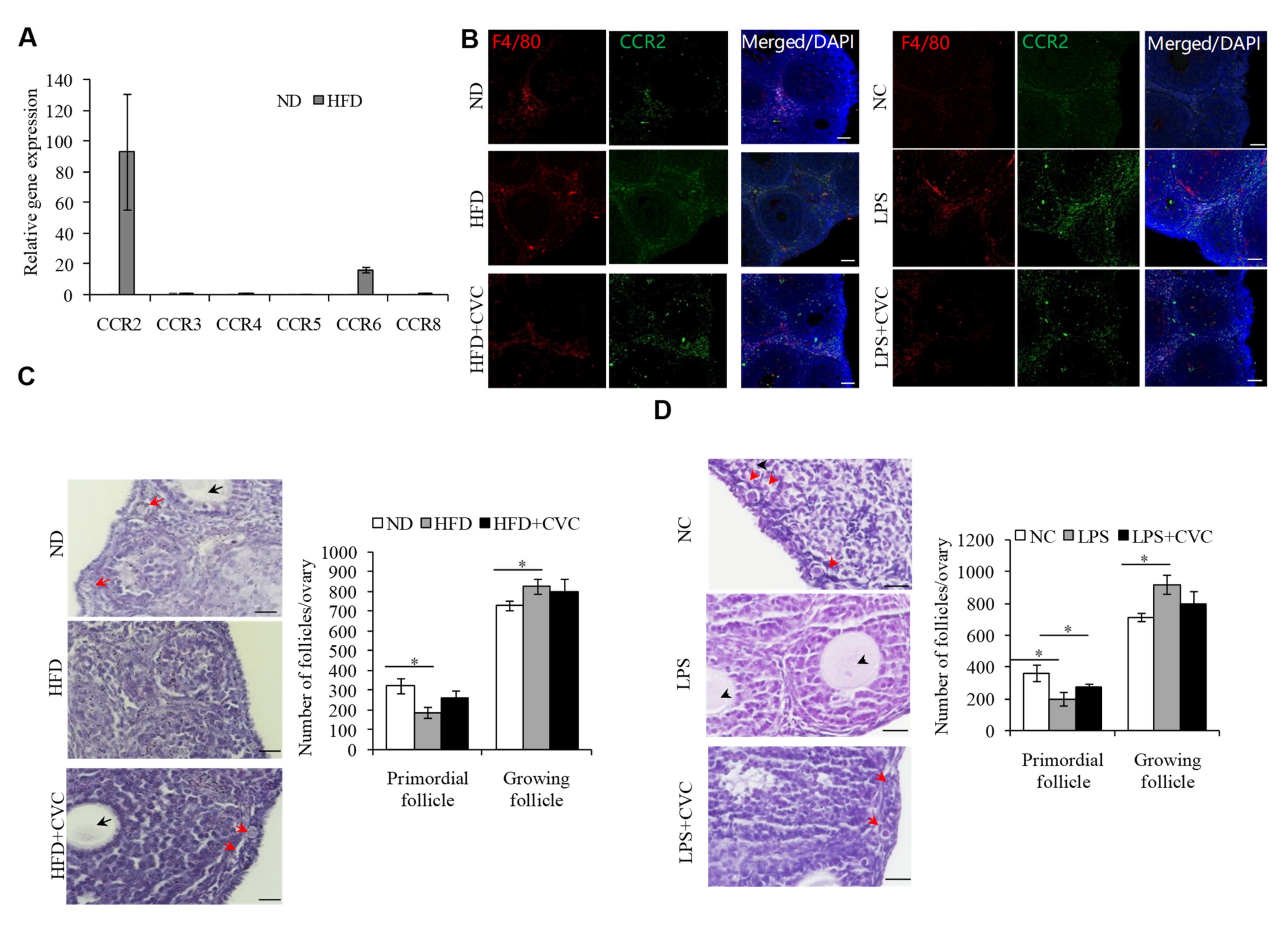 Ijms 23 04797 g003 Ijms 23 04797 g003
