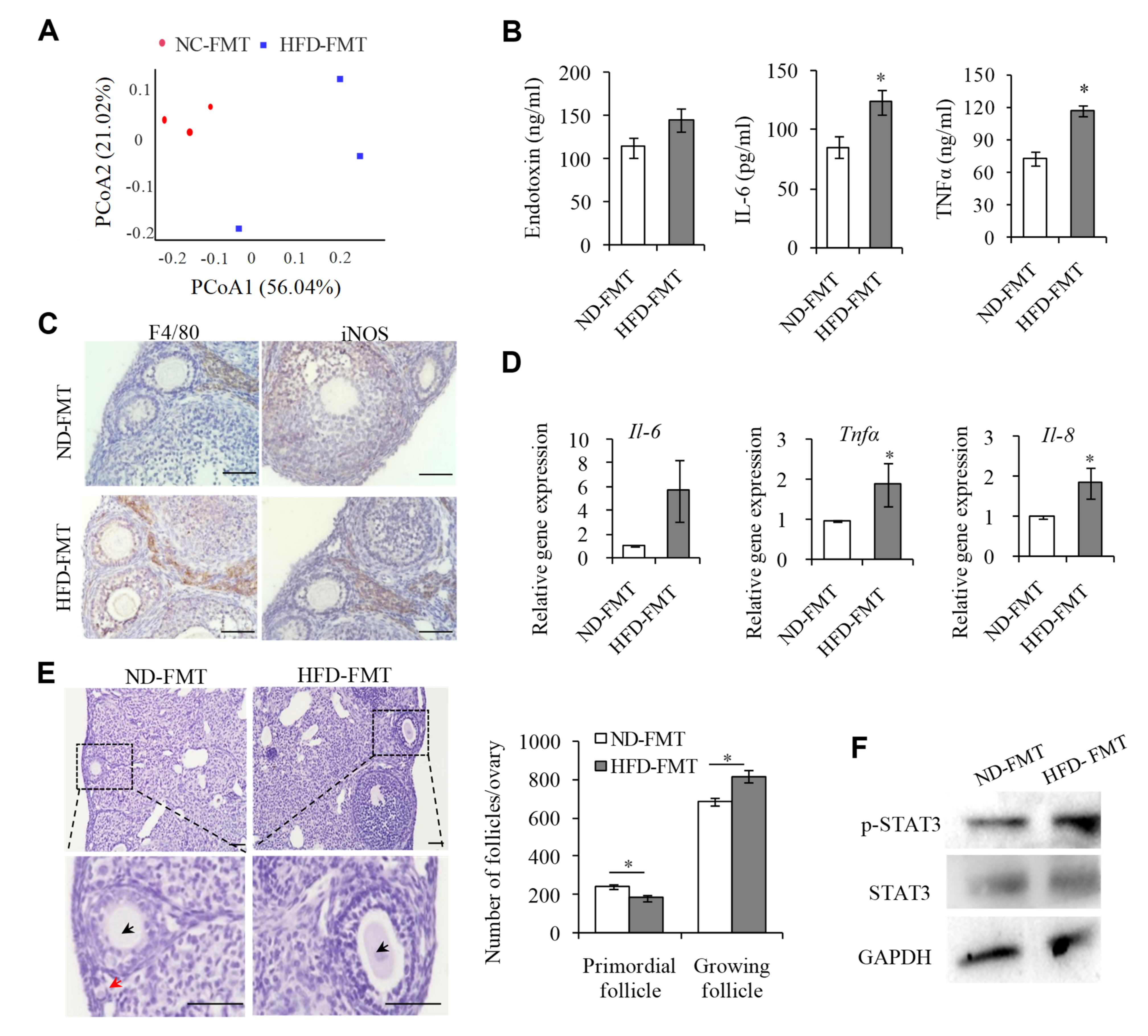 Ijms 23 04797 g006 Ijms 23 04797 g006