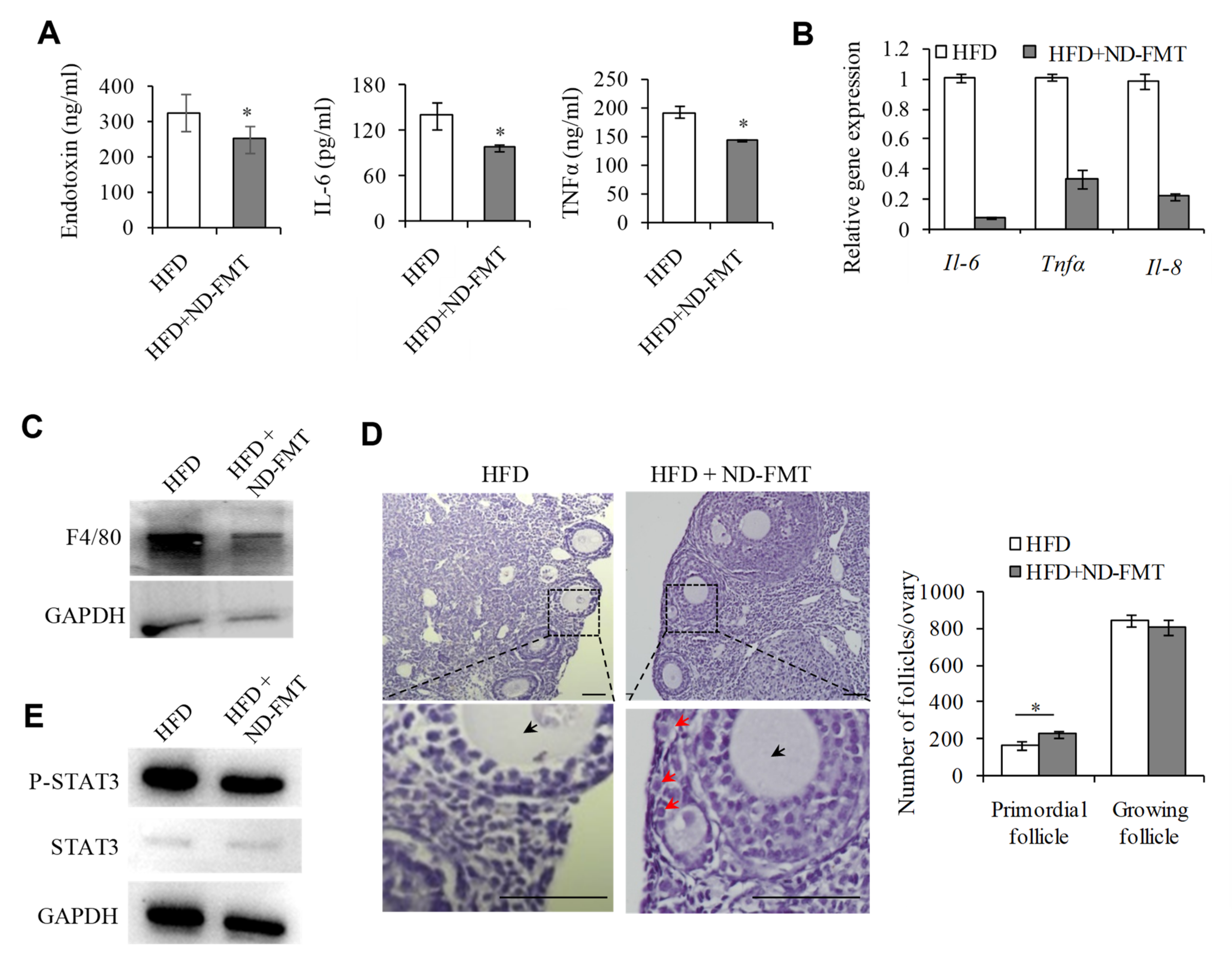 Ijms 23 04797 g007 Ijms 23 04797 g007