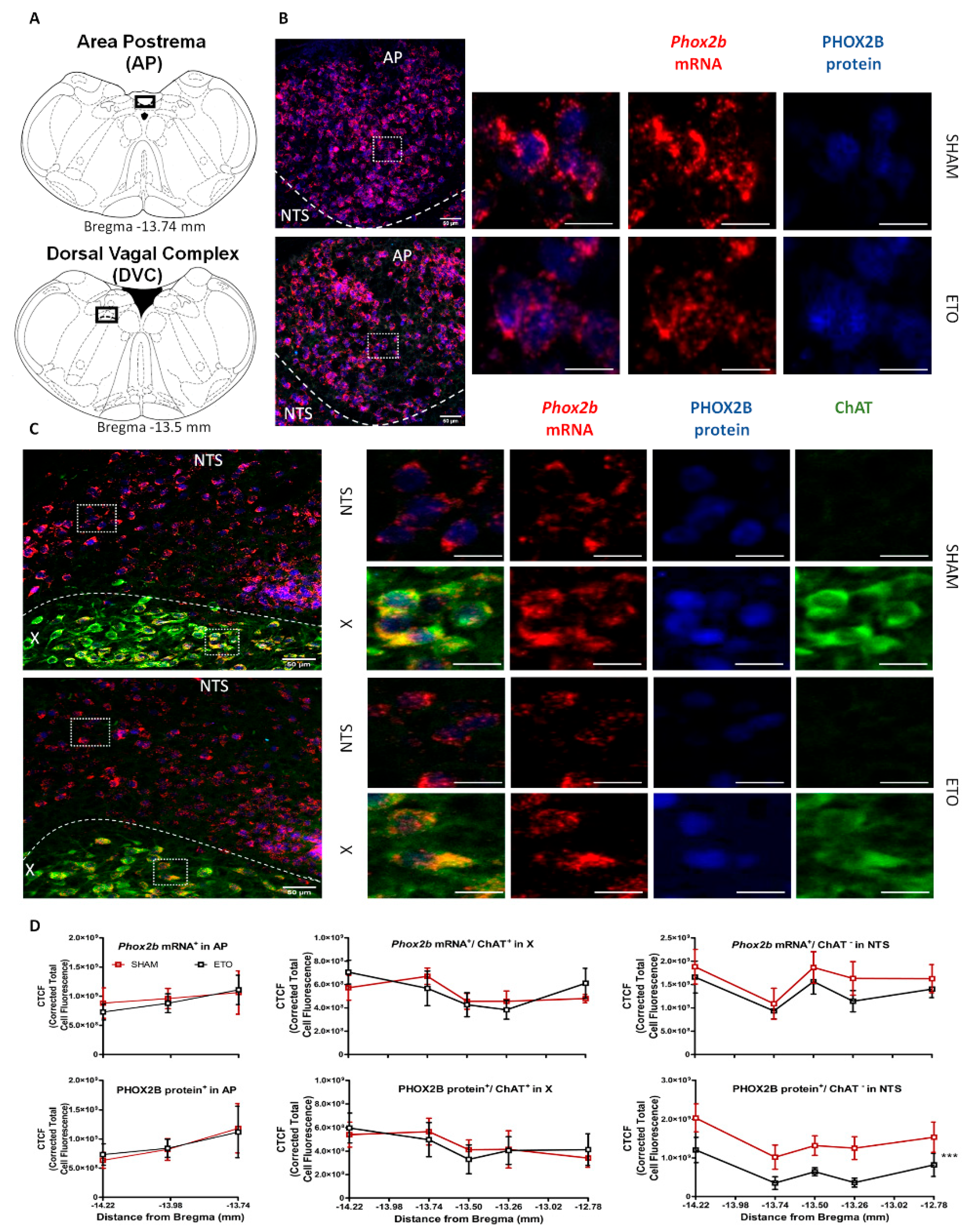 Ijms 23 04816 g002 Ijms 23 04816 g002