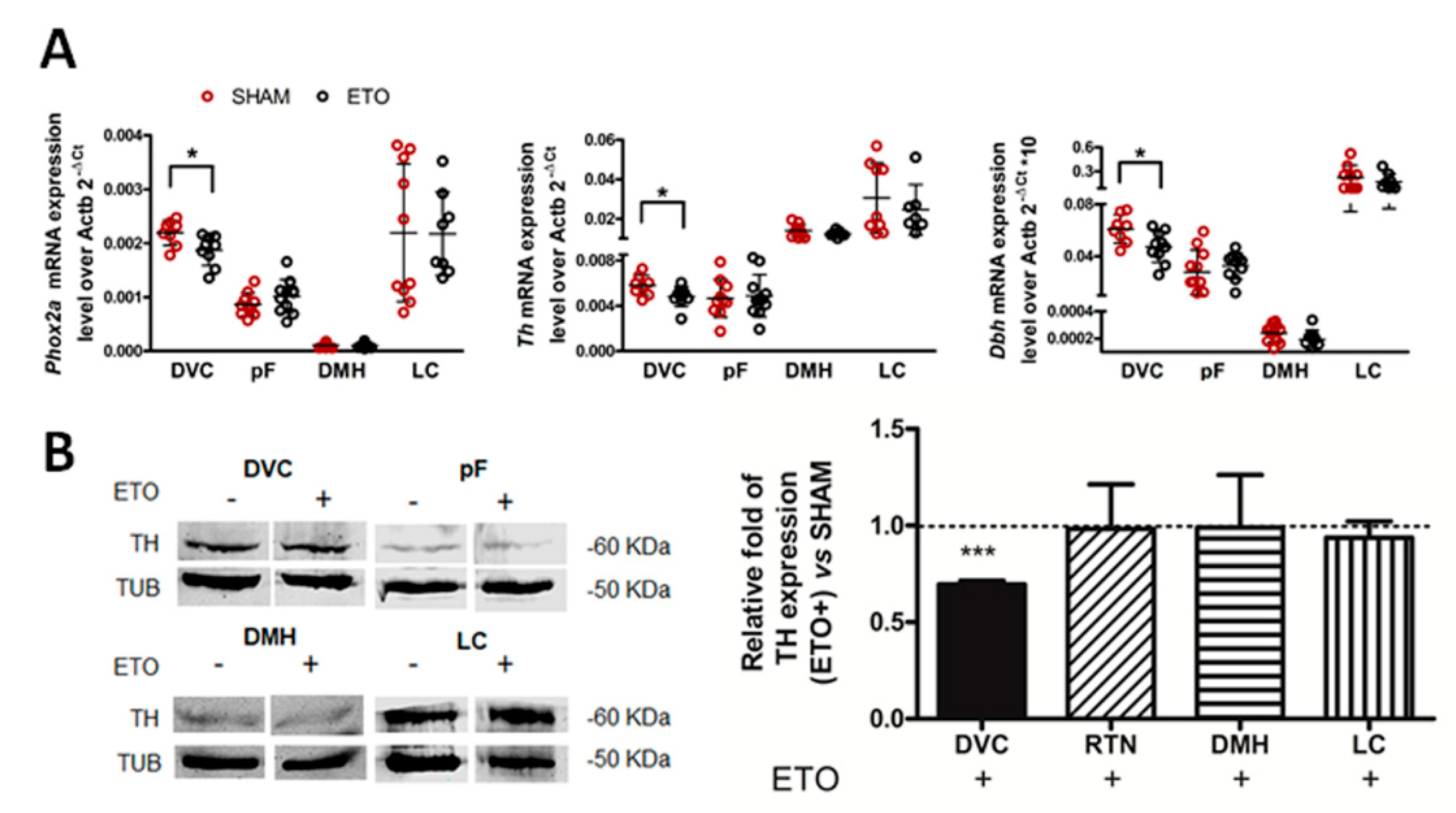 Ijms 23 04816 g004 Ijms 23 04816 g004