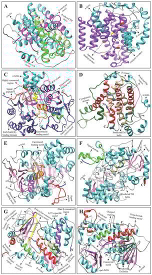 Ijms 23 04845 g004 550