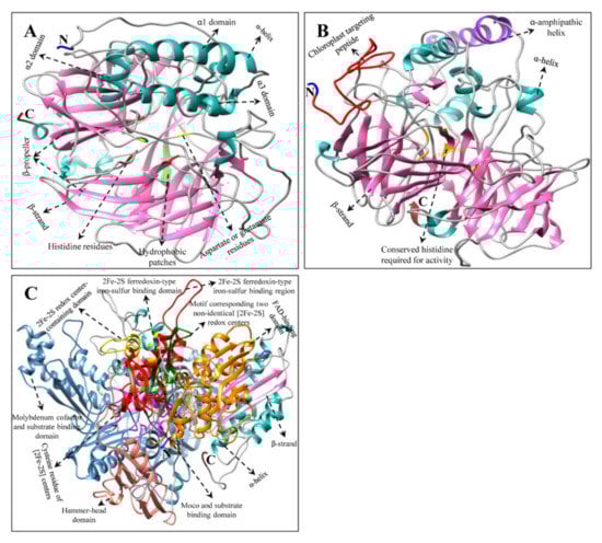 Ijms 23 04845 g006 550