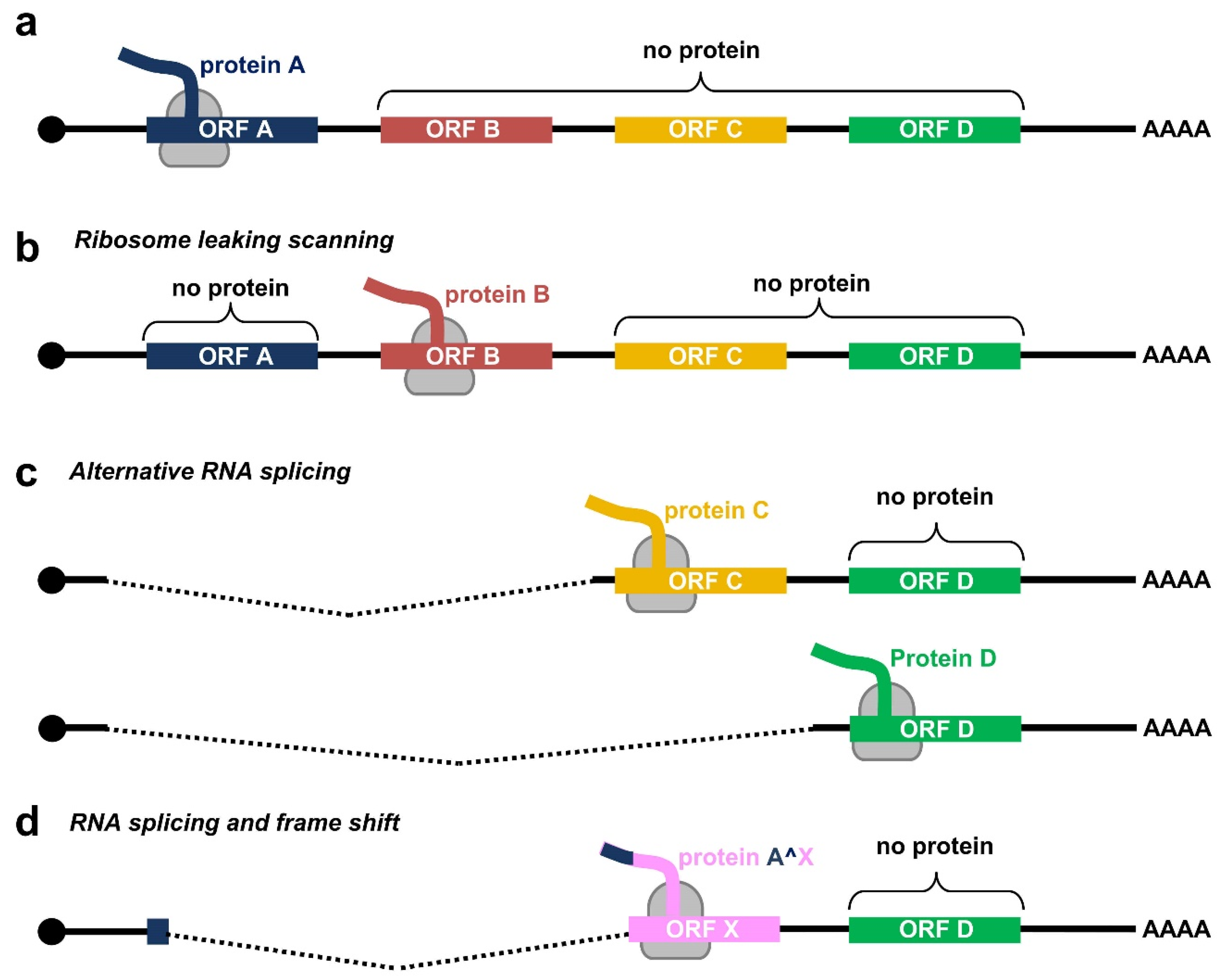 Ijms 23 04943 g002 Ijms 23 04943 g002