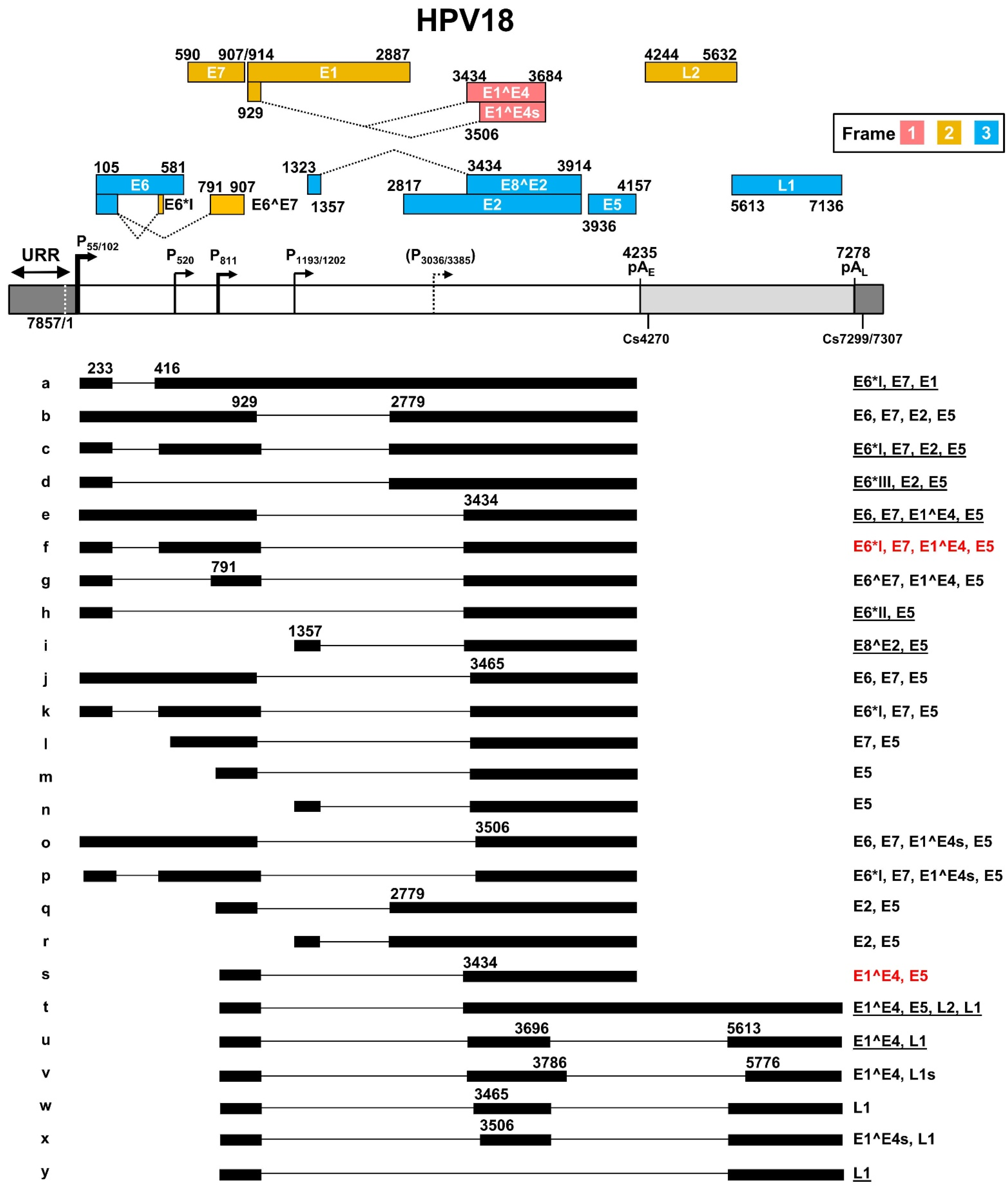 Ijms 23 04943 g004 Ijms 23 04943 g004