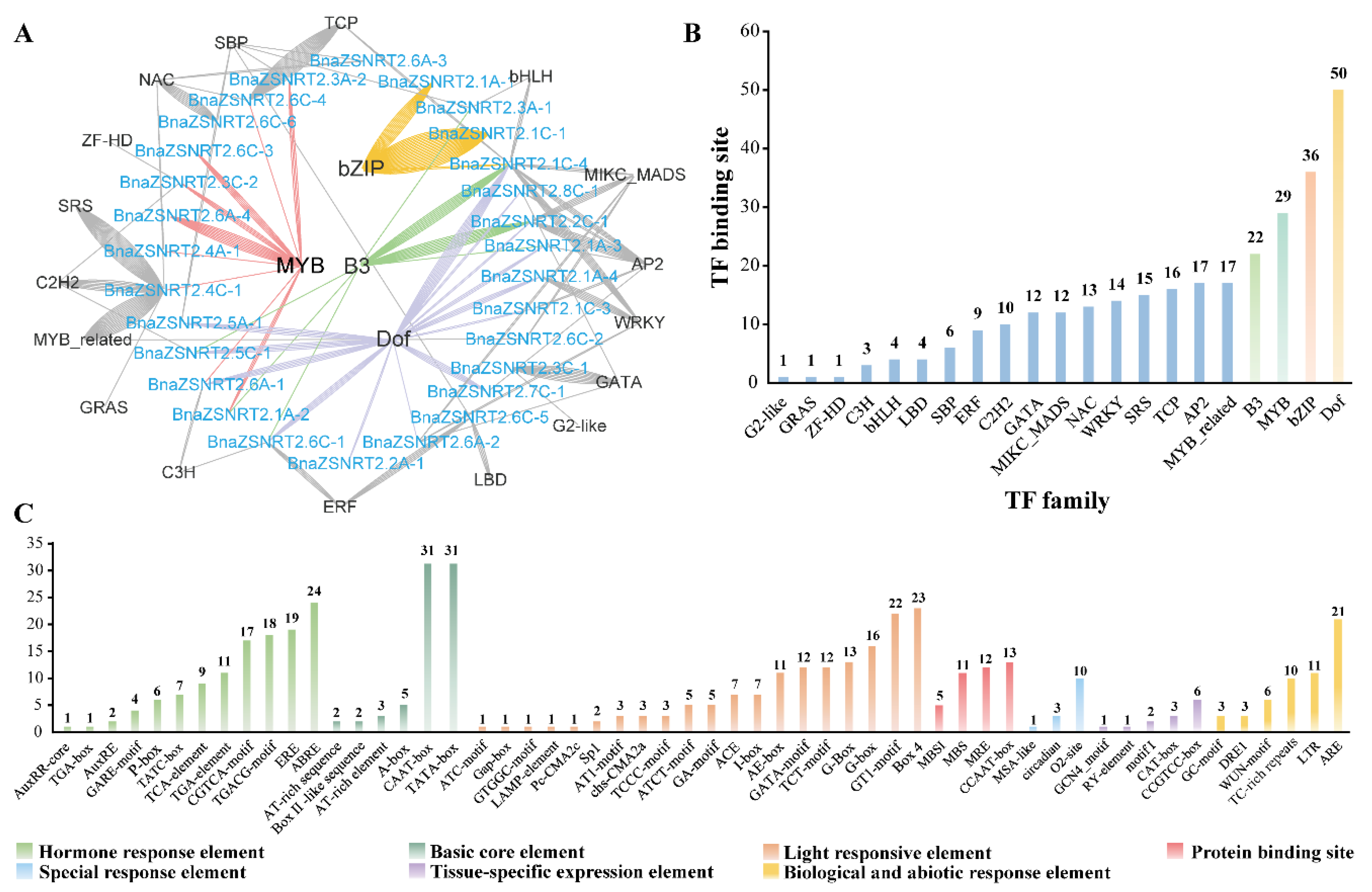 Ijms 23 04965 g003 Ijms 23 04965 g003