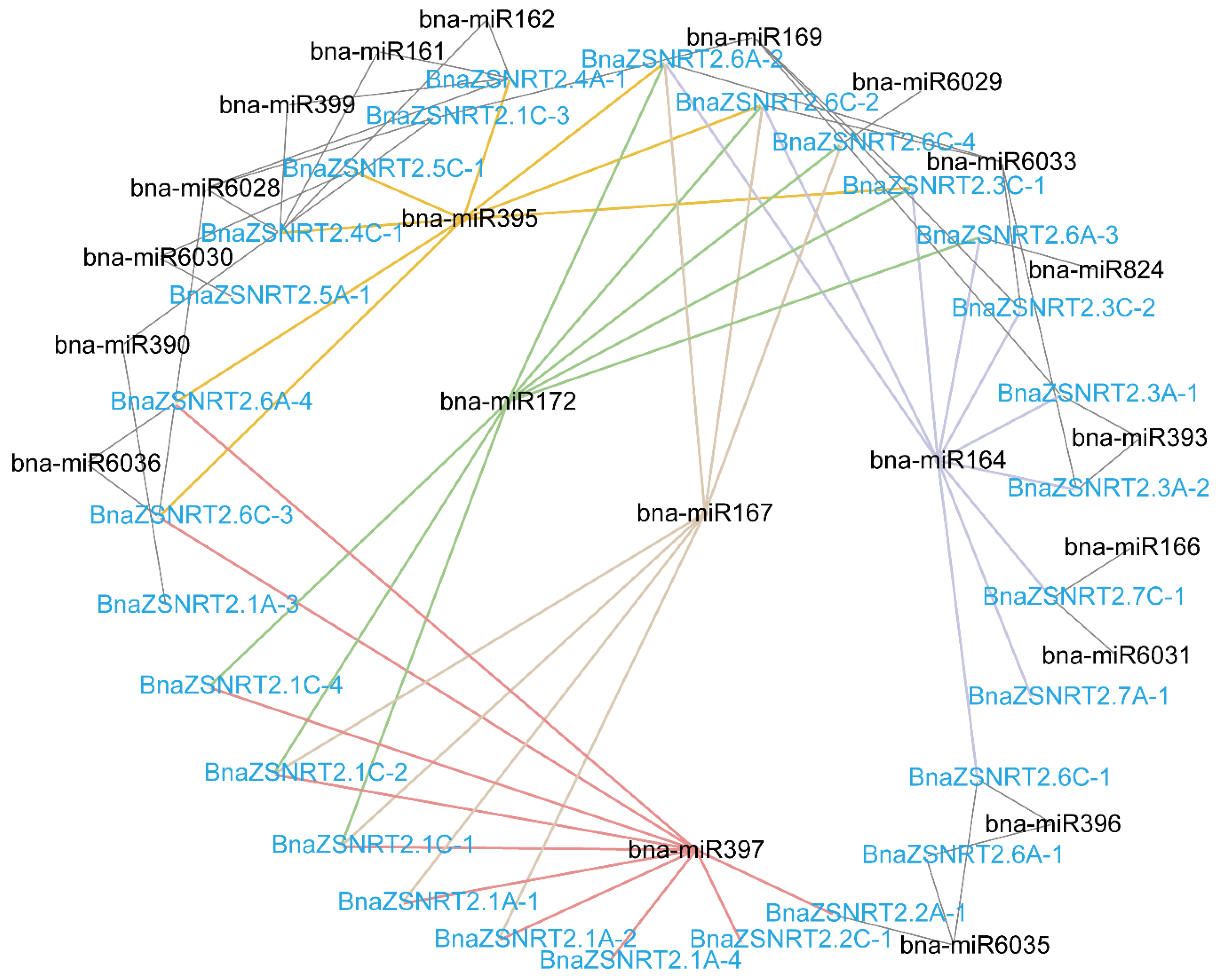 Ijms 23 04965 g004 Ijms 23 04965 g004