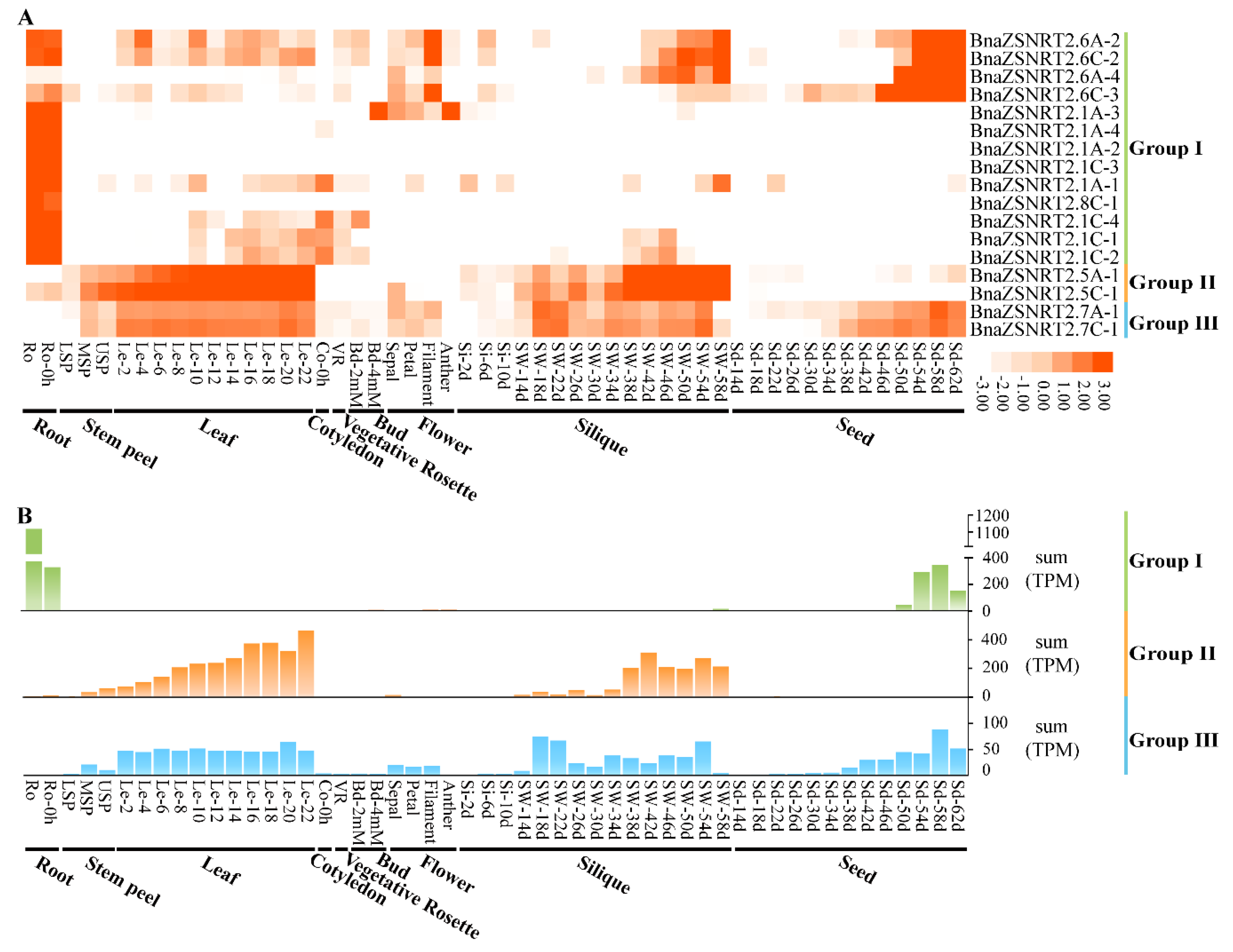 Ijms 23 04965 g005 Ijms 23 04965 g005