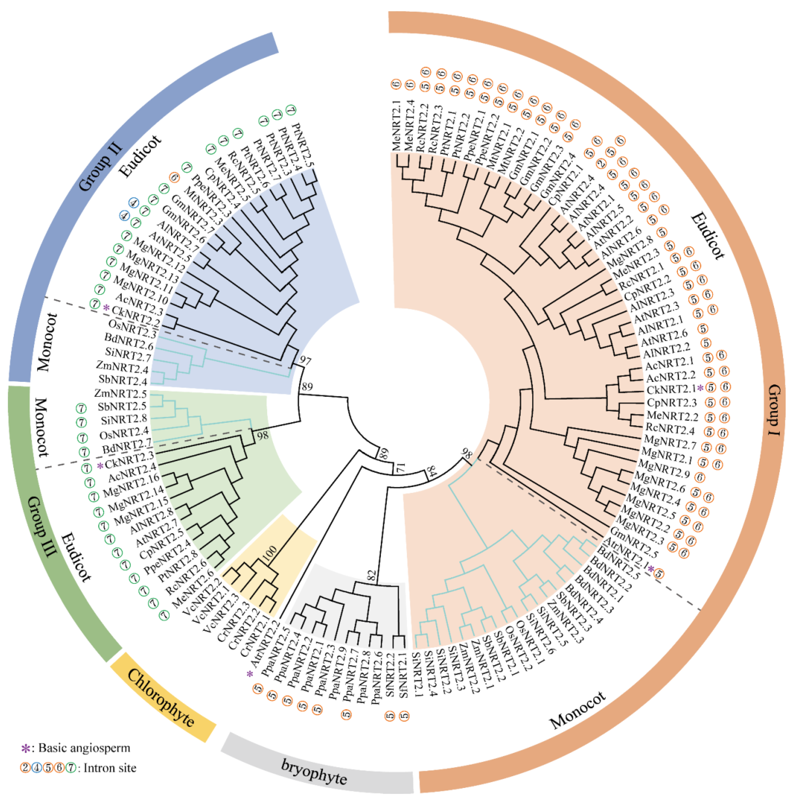 Ijms 23 04965 g007 Ijms 23 04965 g007
