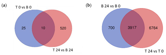 Ijms 23 05006 g004 550