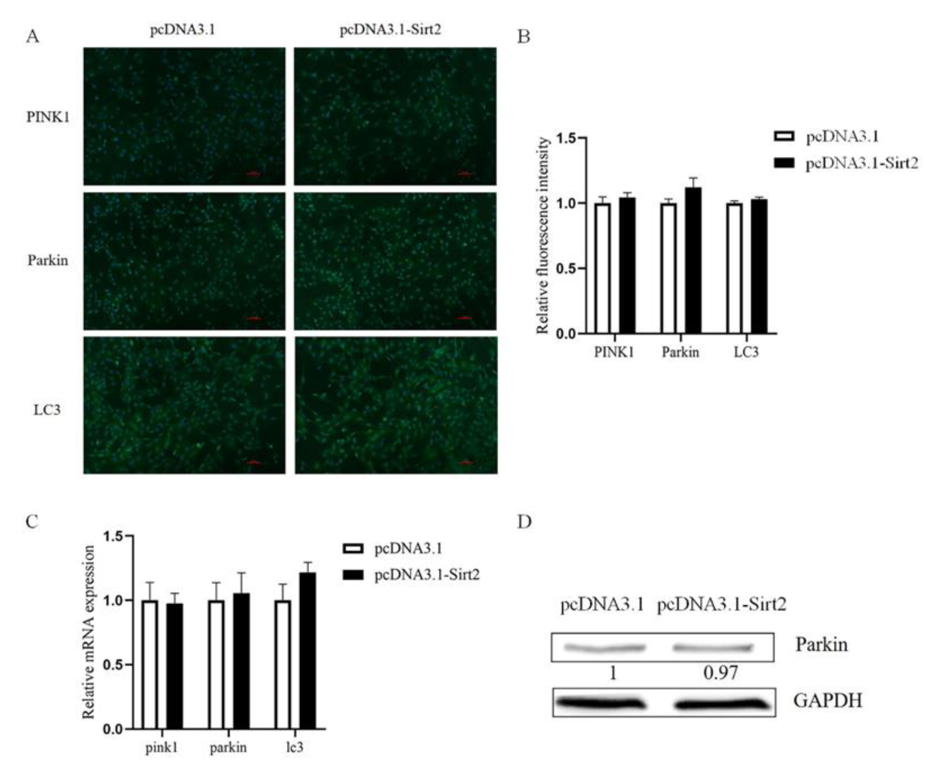 Ijms 23 05013 g008