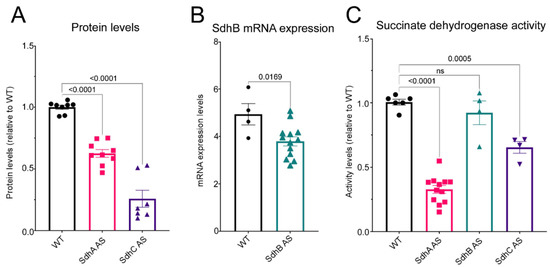 Ijms 23 05039 g001 550