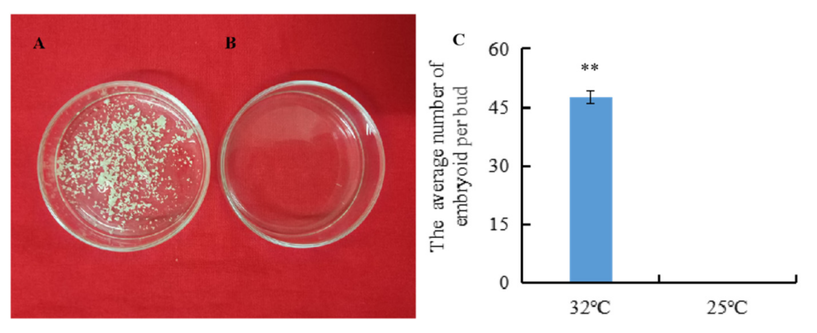 Ijms 23 05147 g001 Ijms 23 05147 g001