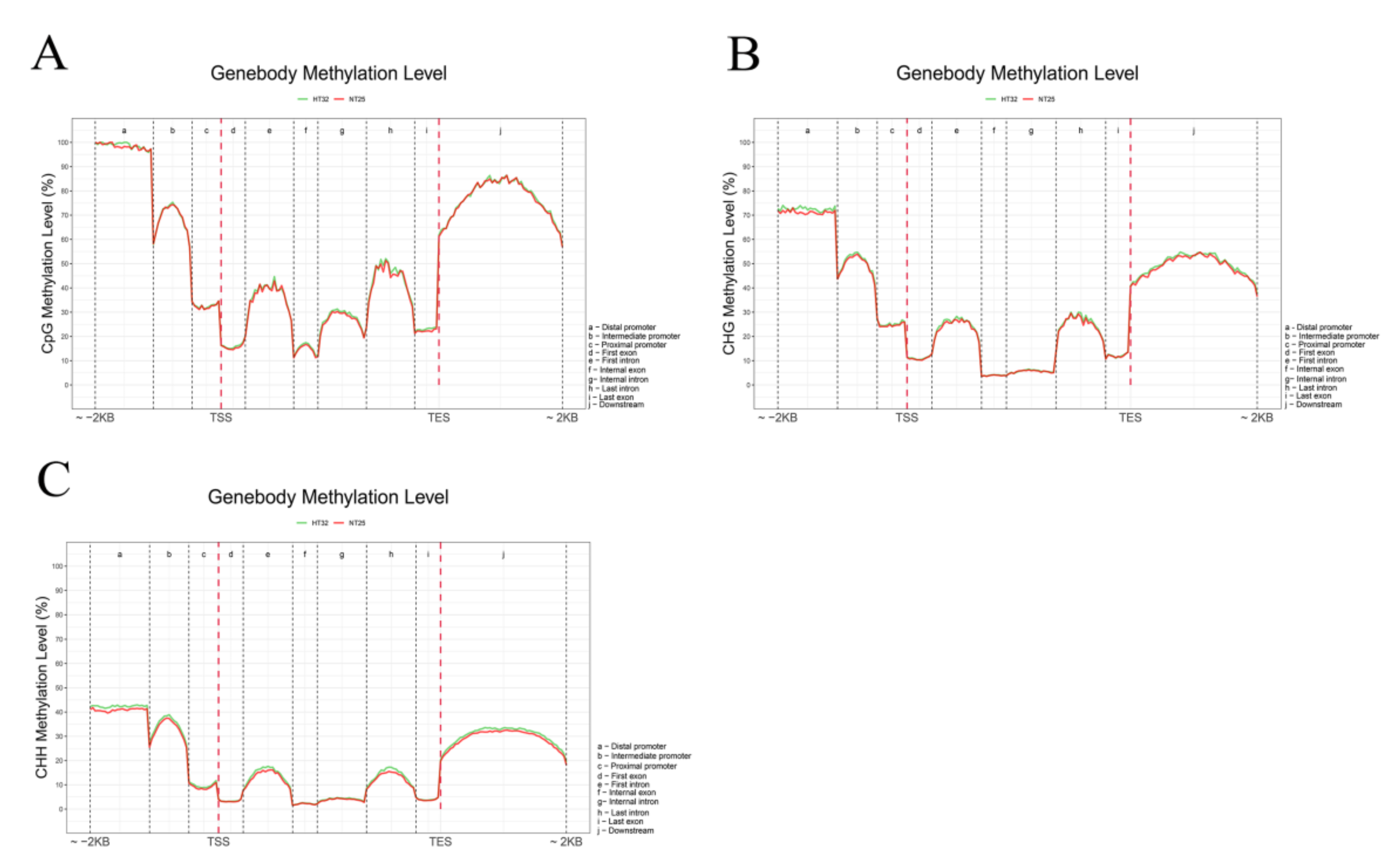 Ijms 23 05147 g004 Ijms 23 05147 g004