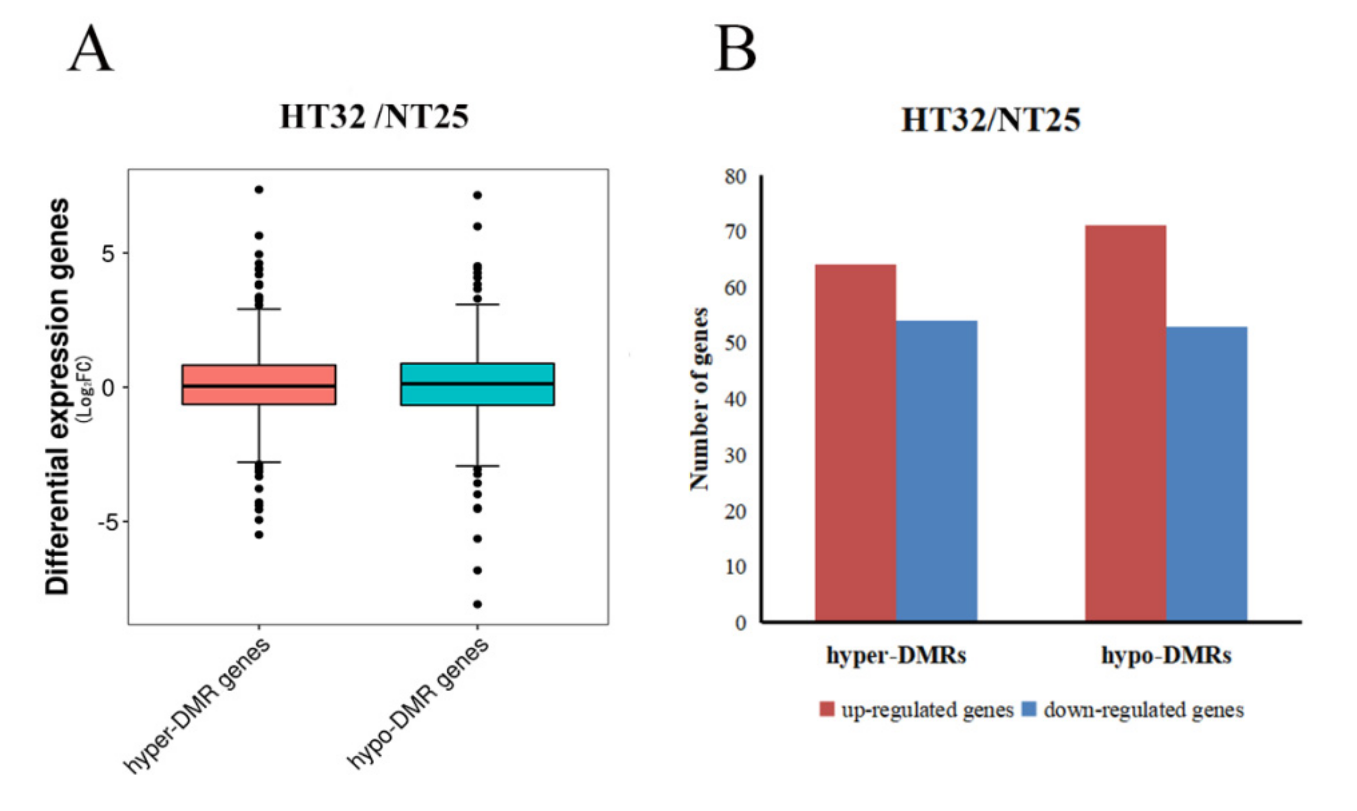 Ijms 23 05147 g006 Ijms 23 05147 g006
