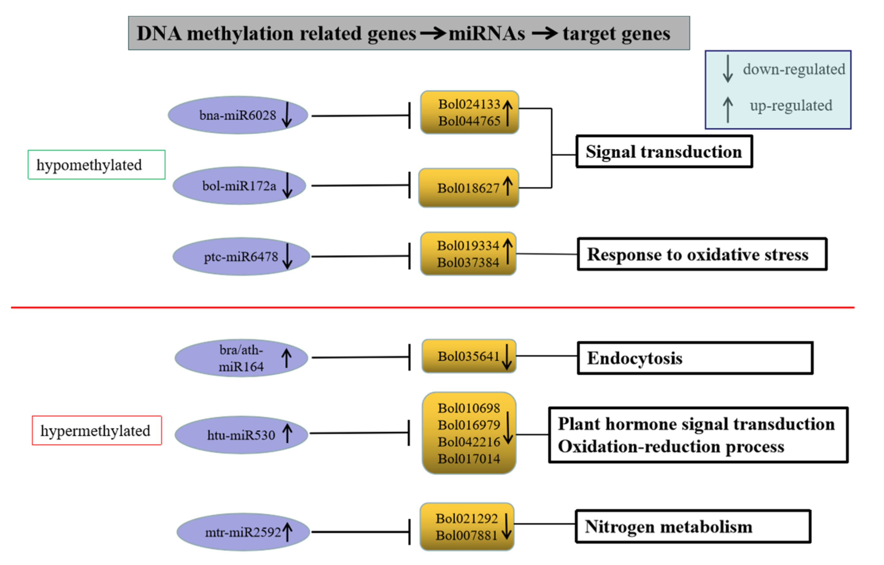 Ijms 23 05147 g010 Ijms 23 05147 g010