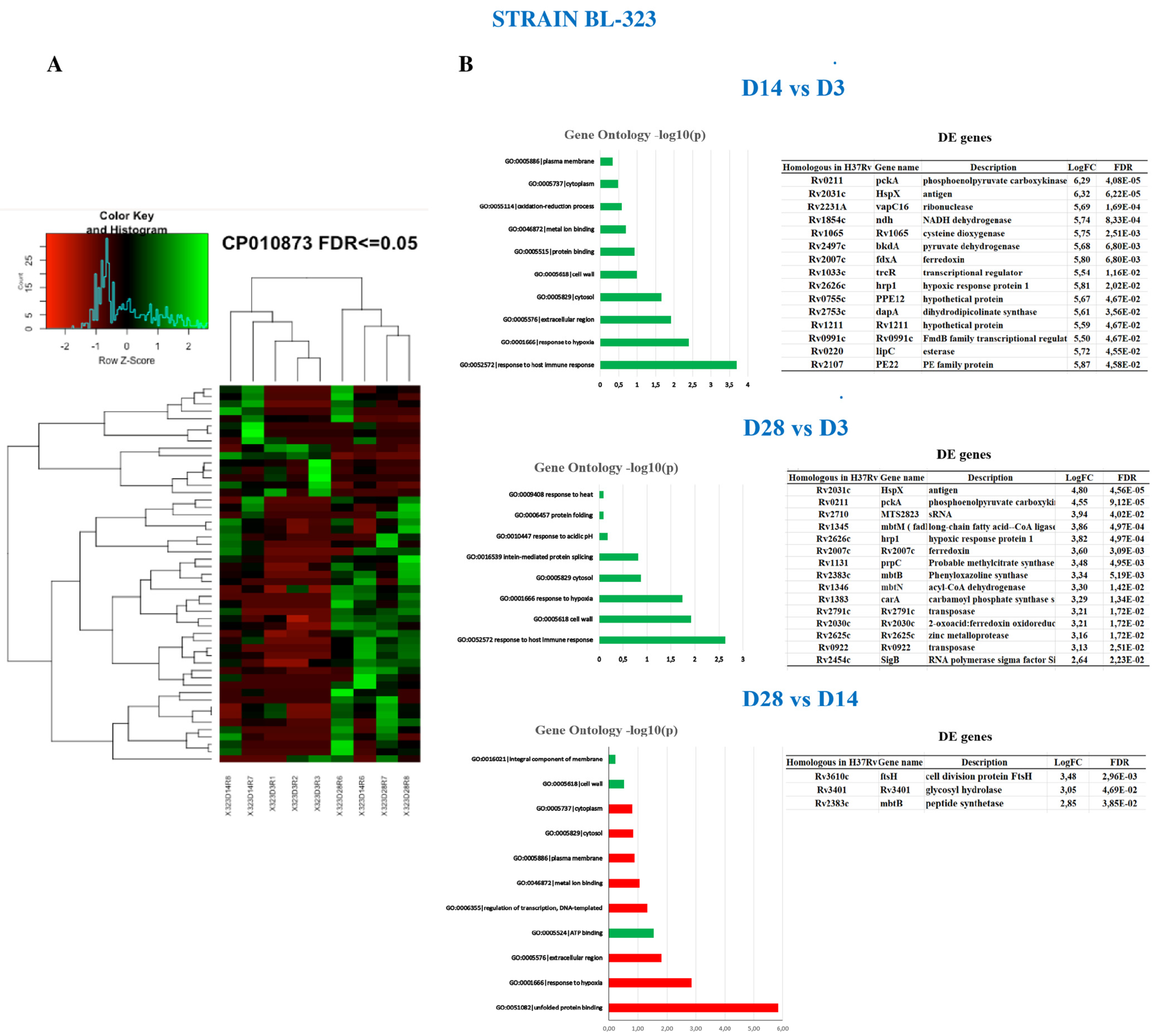 Ijms 23 05157 g002 Ijms 23 05157 g002