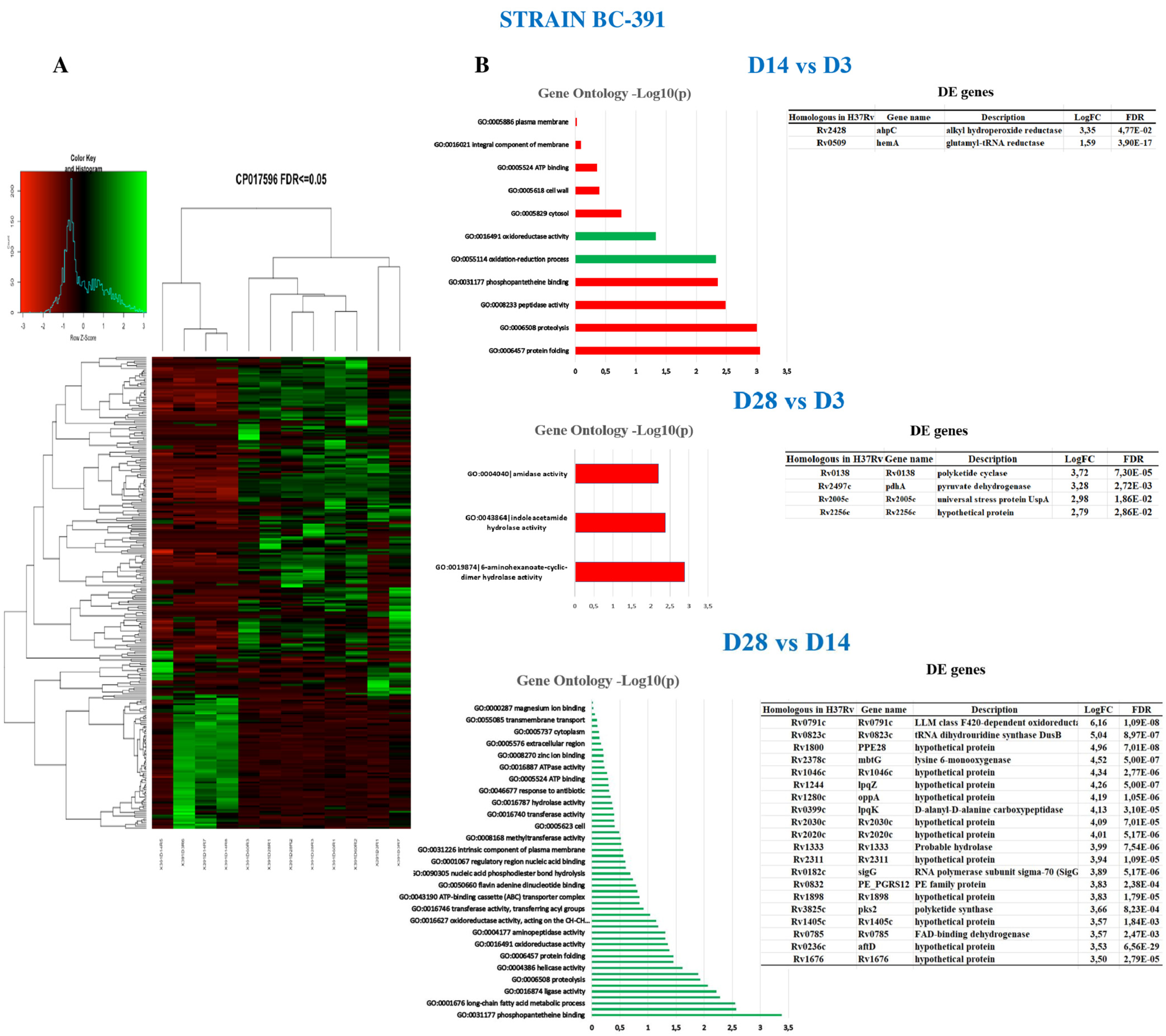 Ijms 23 05157 g003 Ijms 23 05157 g003