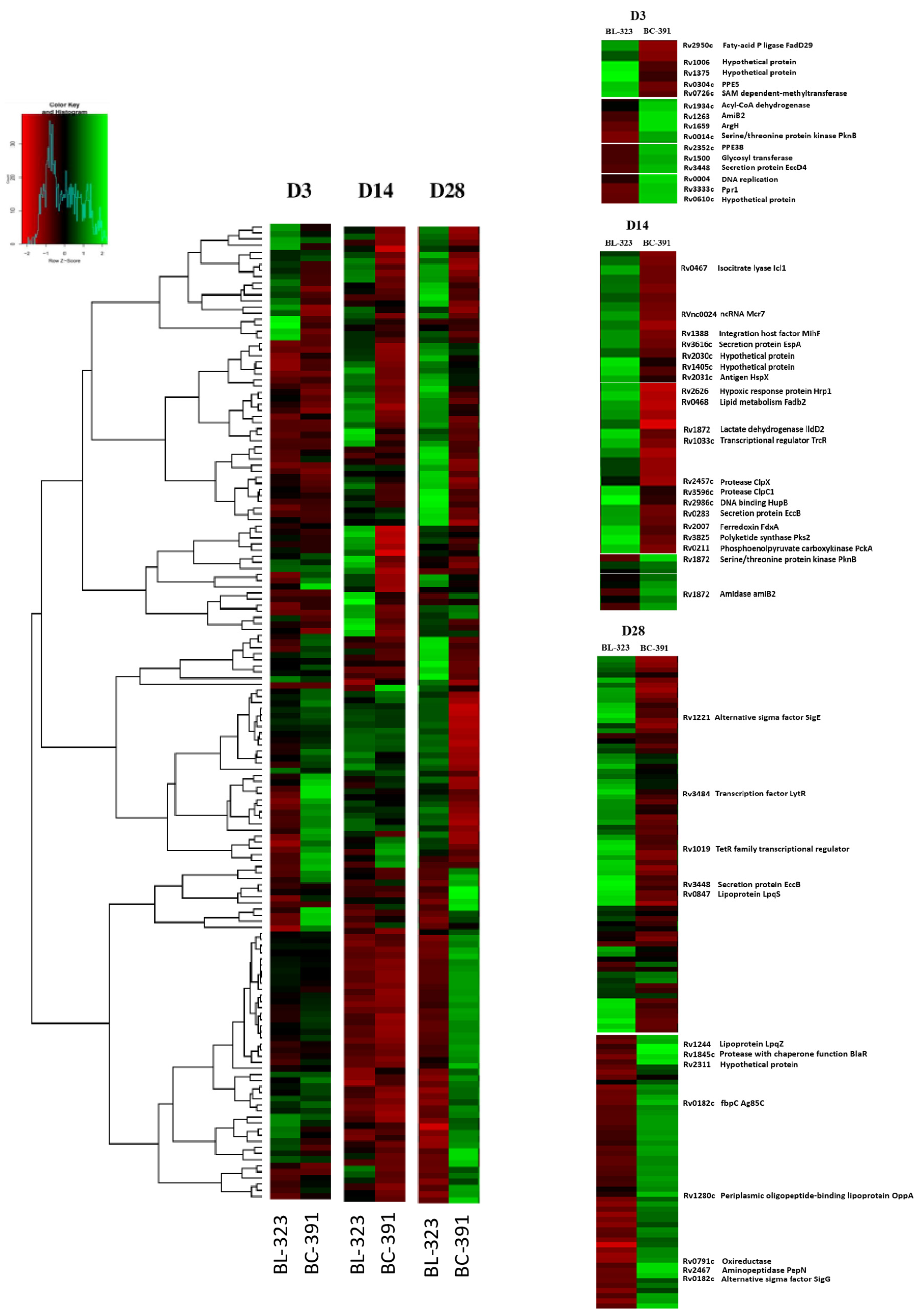 Ijms 23 05157 g005 Ijms 23 05157 g005