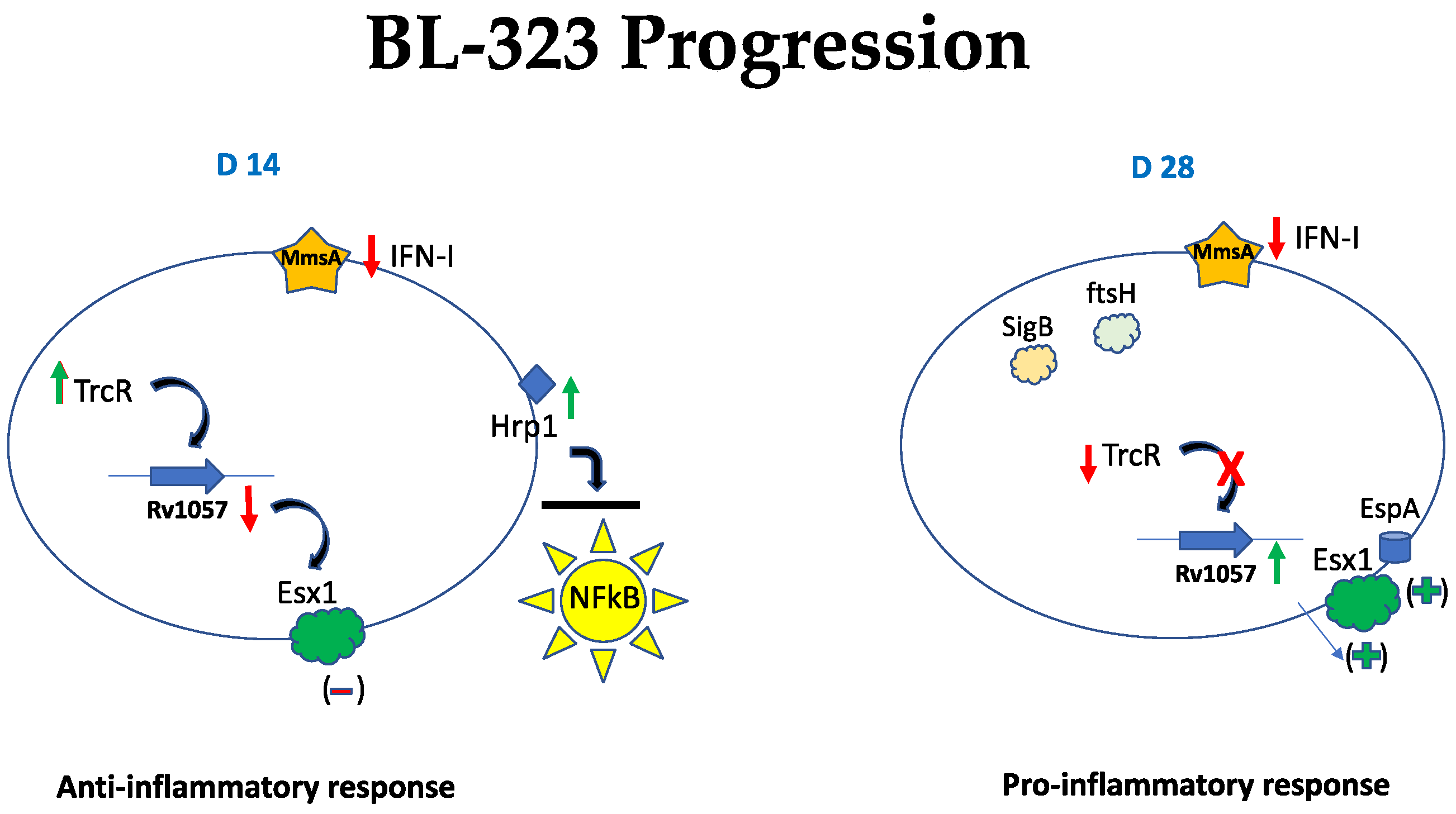 Ijms 23 05157 g006 Ijms 23 05157 g006