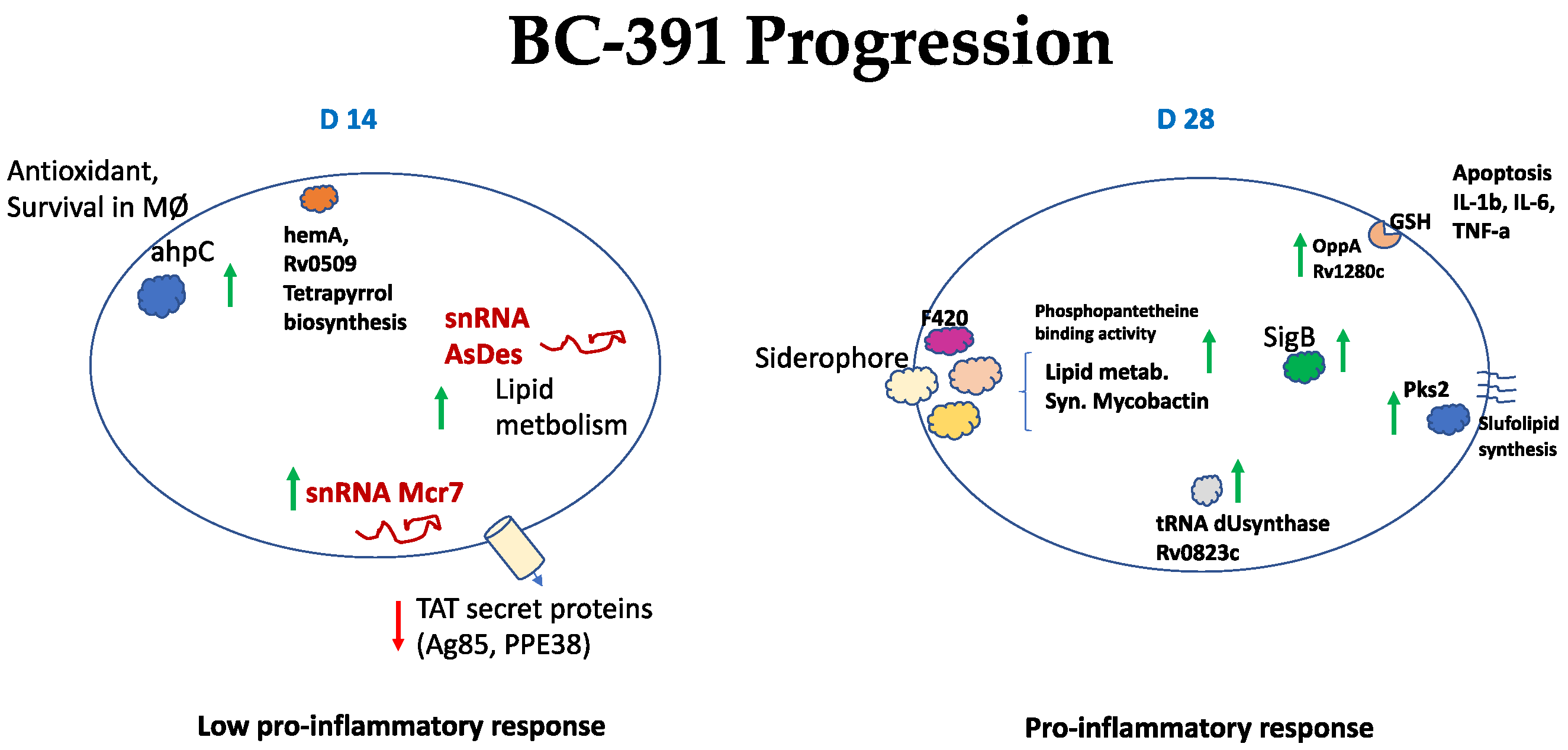 Ijms 23 05157 g007 Ijms 23 05157 g007