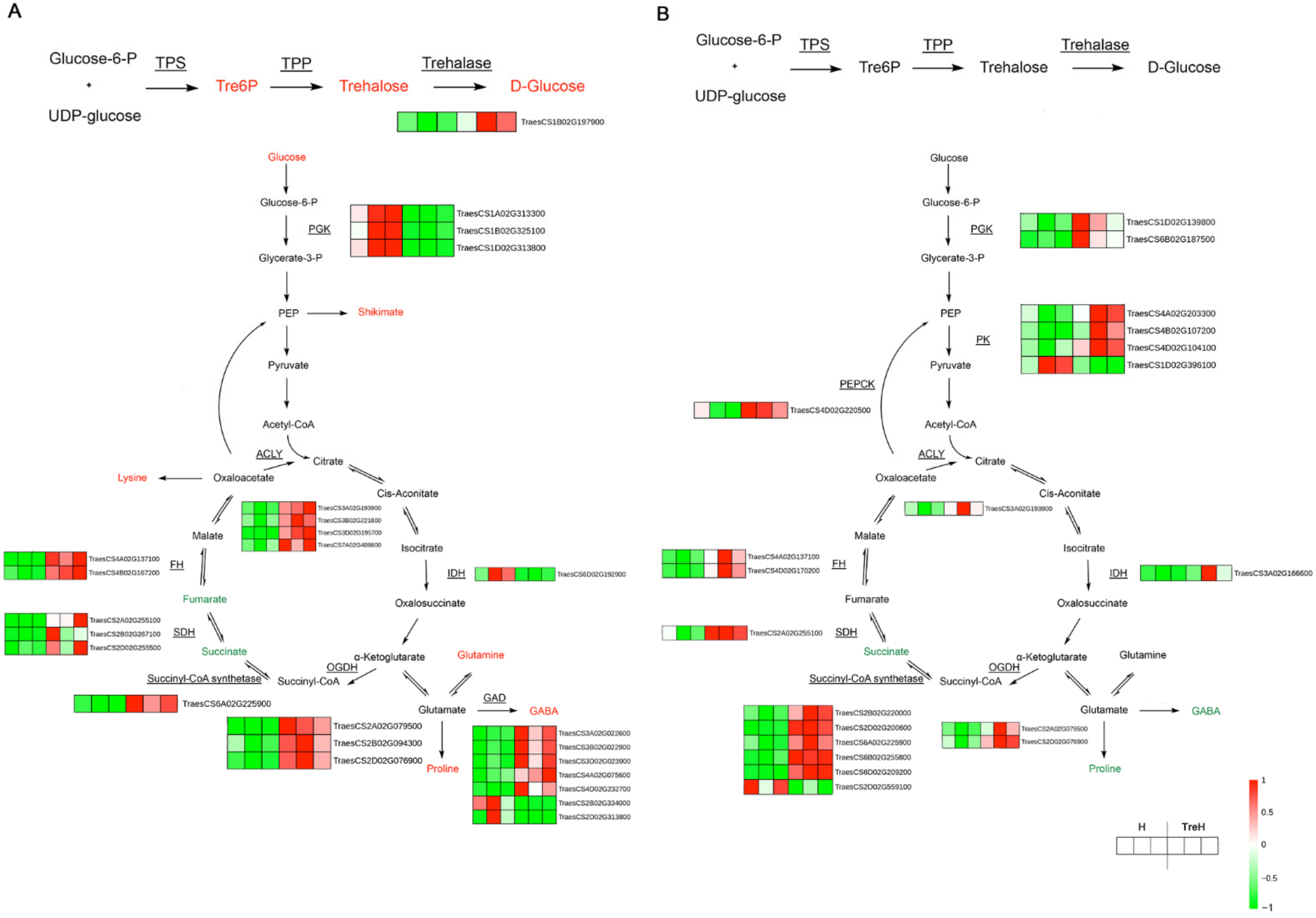 Ijms 23 05194 g011 Ijms 23 05194 g011