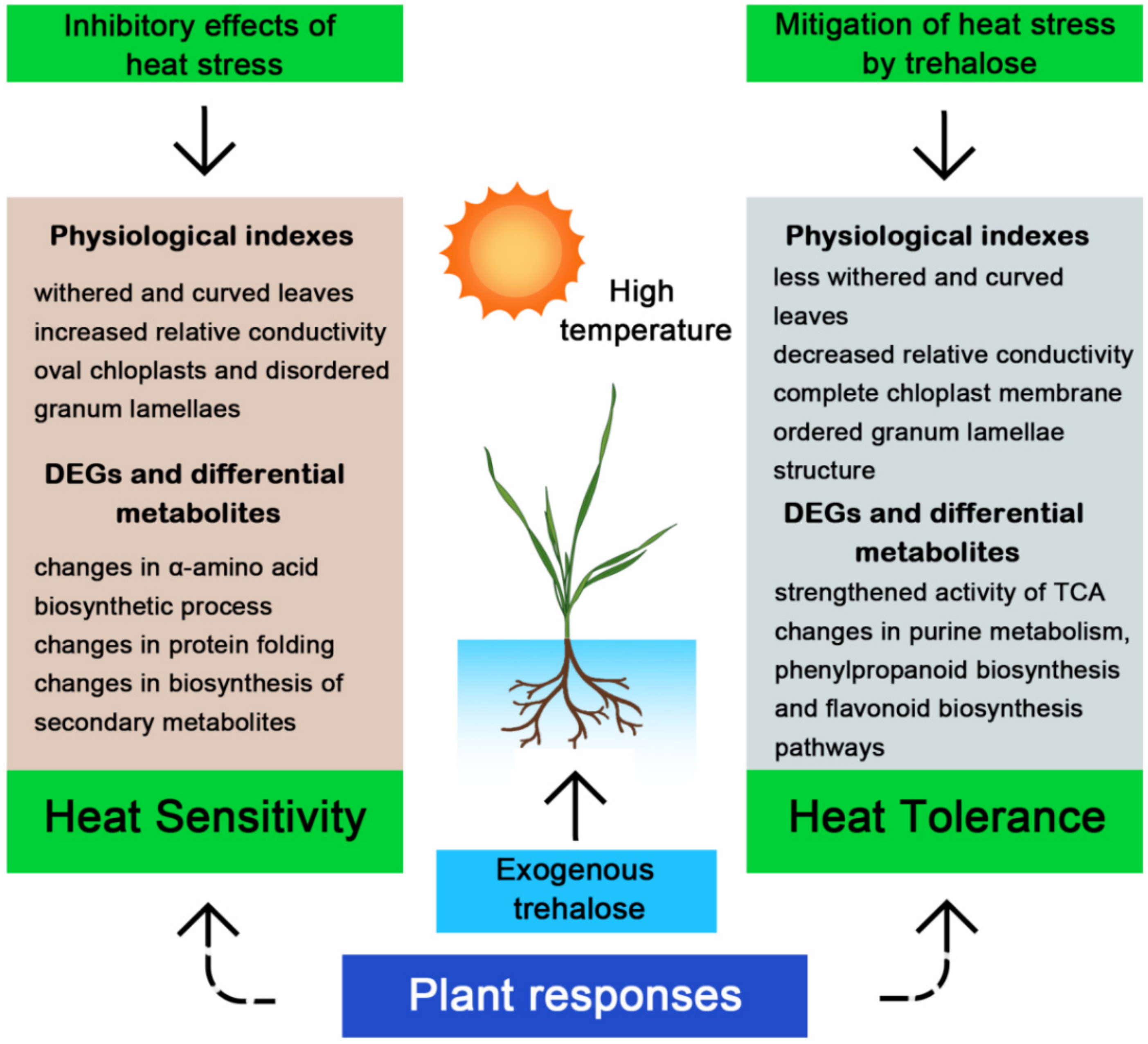 Ijms 23 05194 g013 Ijms 23 05194 g013