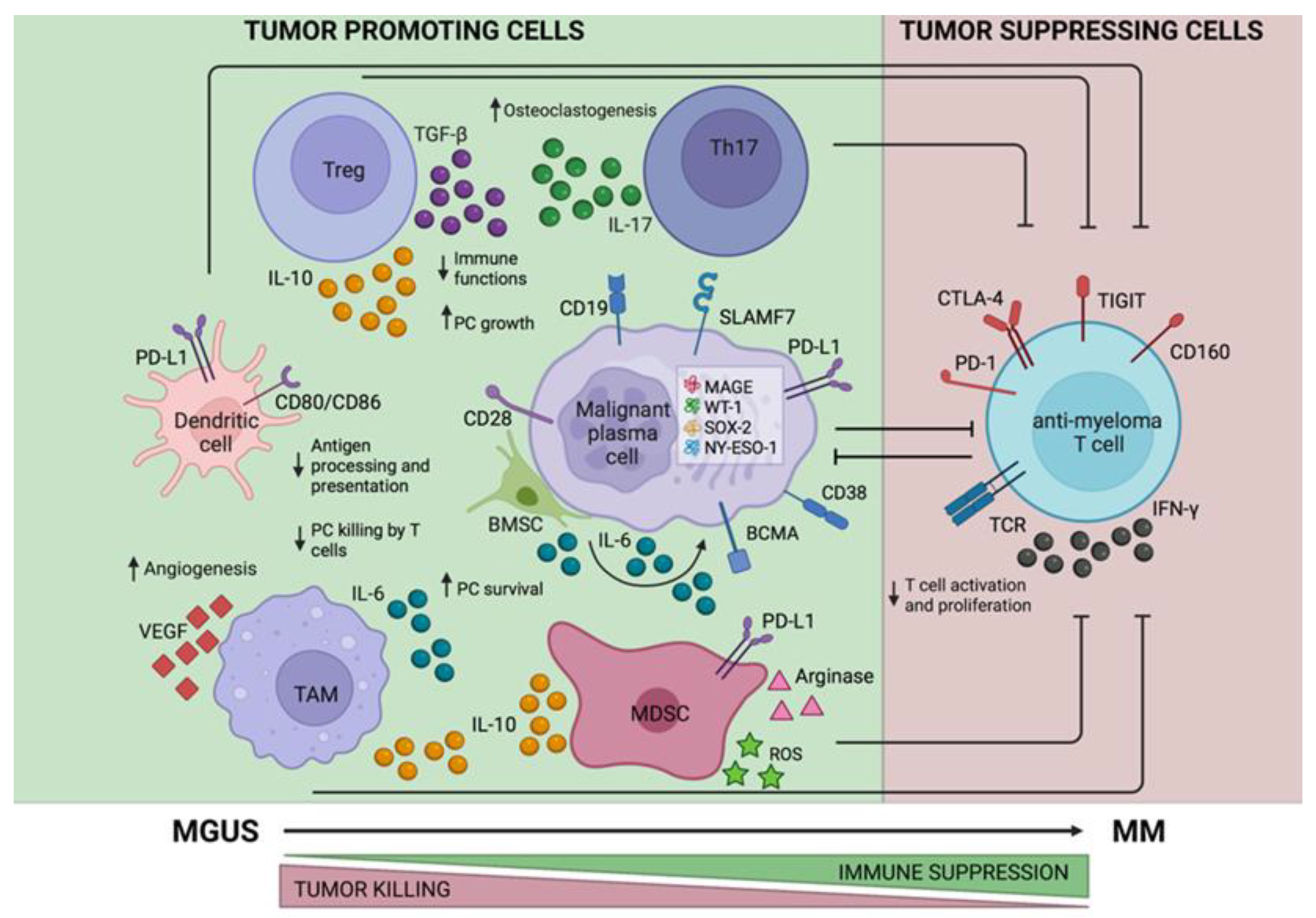 Ijms 23 05242 g001 Ijms 23 05242 g001