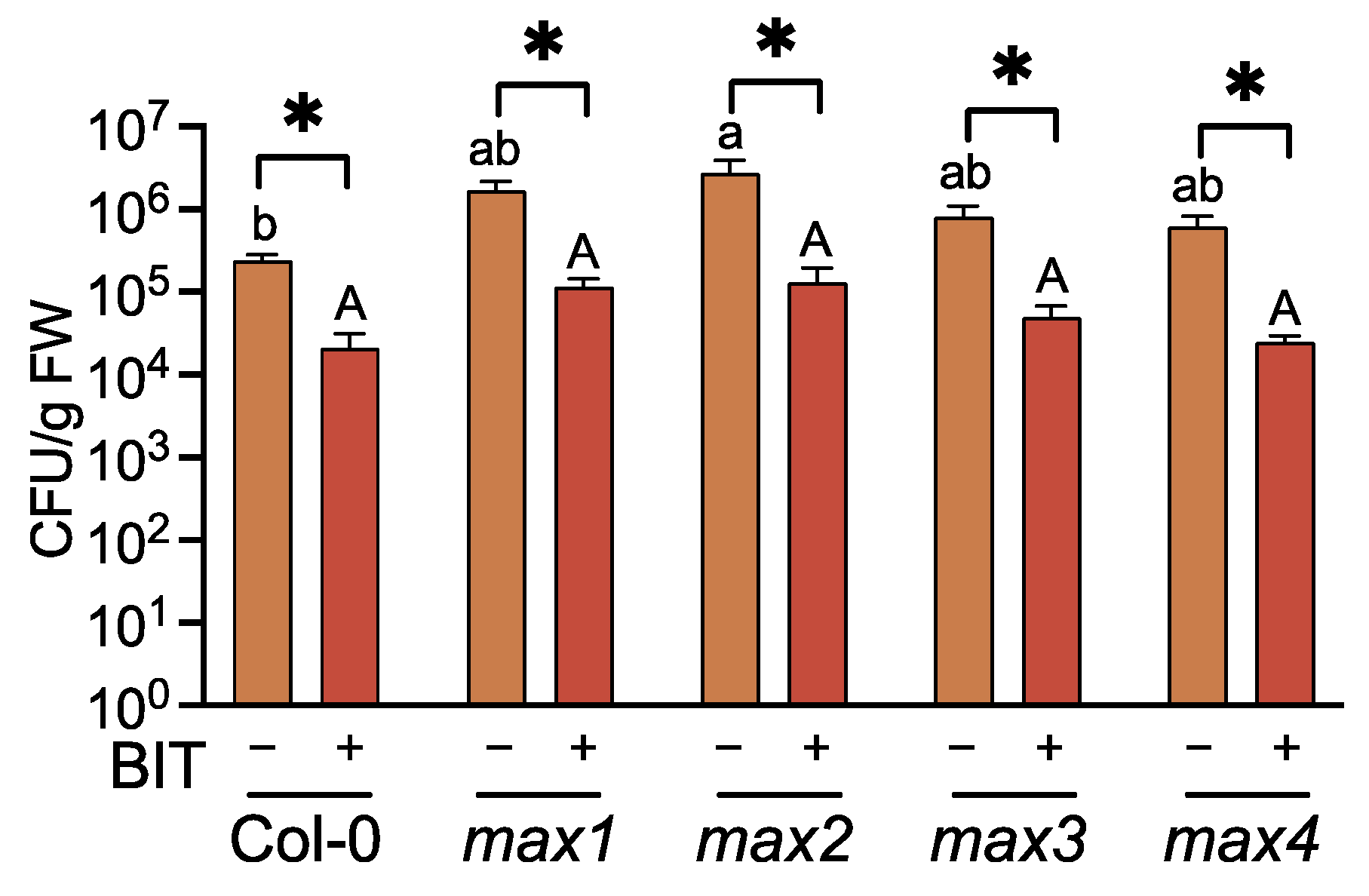 Ijms 23 05246 g001 Ijms 23 05246 g001