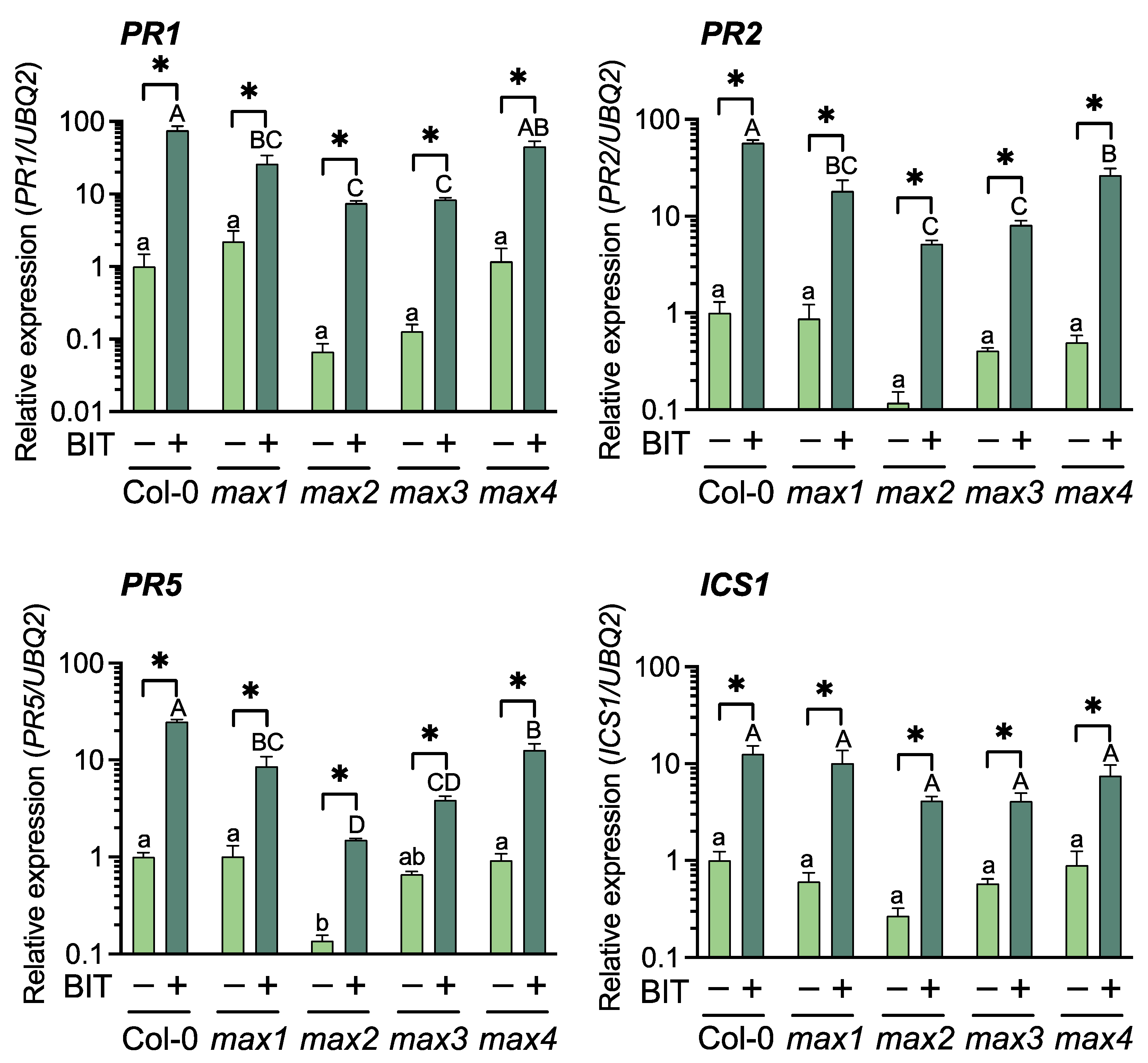 Ijms 23 05246 g002 Ijms 23 05246 g002