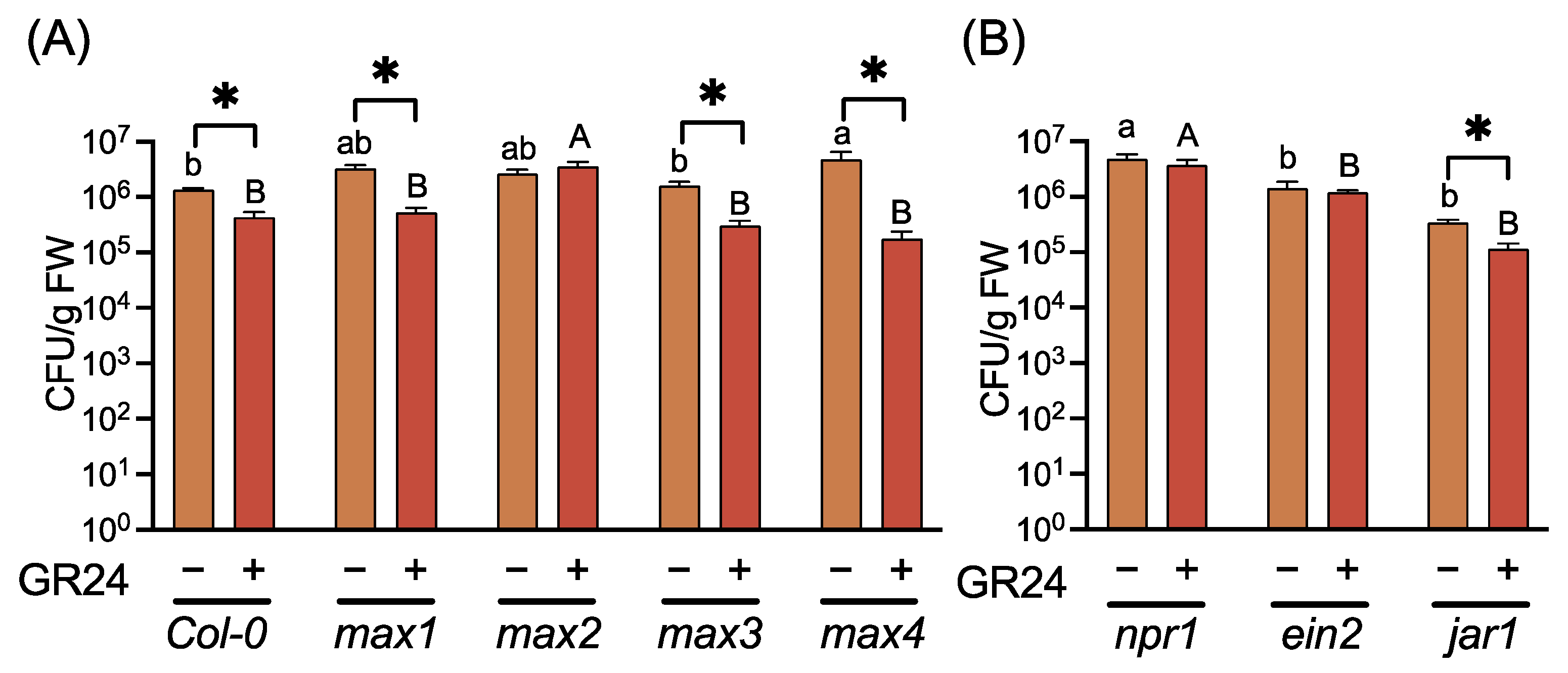 Ijms 23 05246 g004 Ijms 23 05246 g004