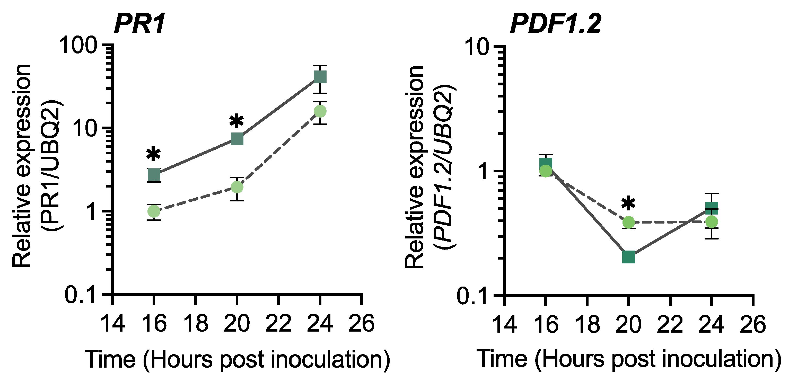 Ijms 23 05246 g006 Ijms 23 05246 g006