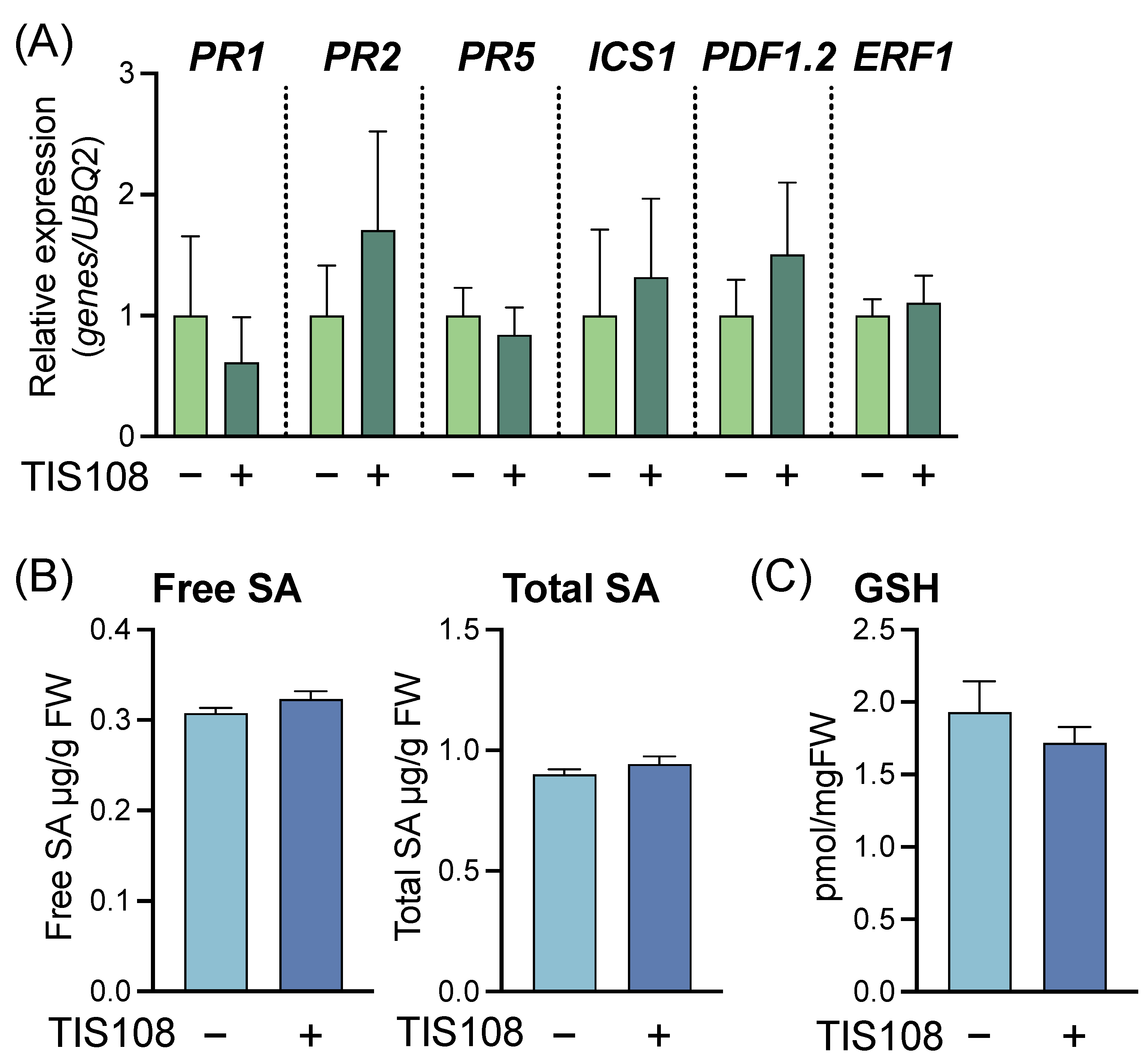 Ijms 23 05246 g007 Ijms 23 05246 g007
