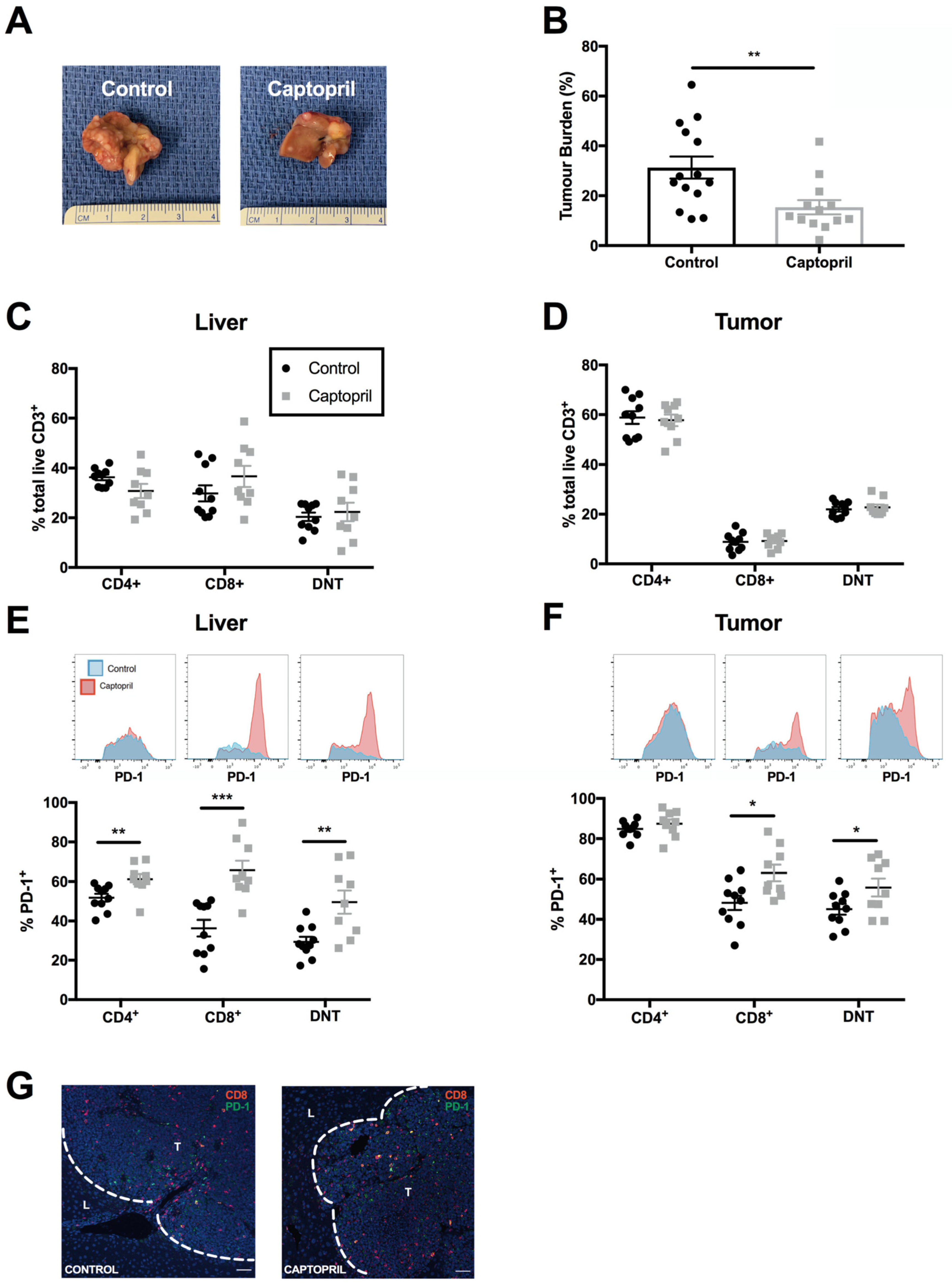 Ijms 23 05281 g001 Ijms 23 05281 g001