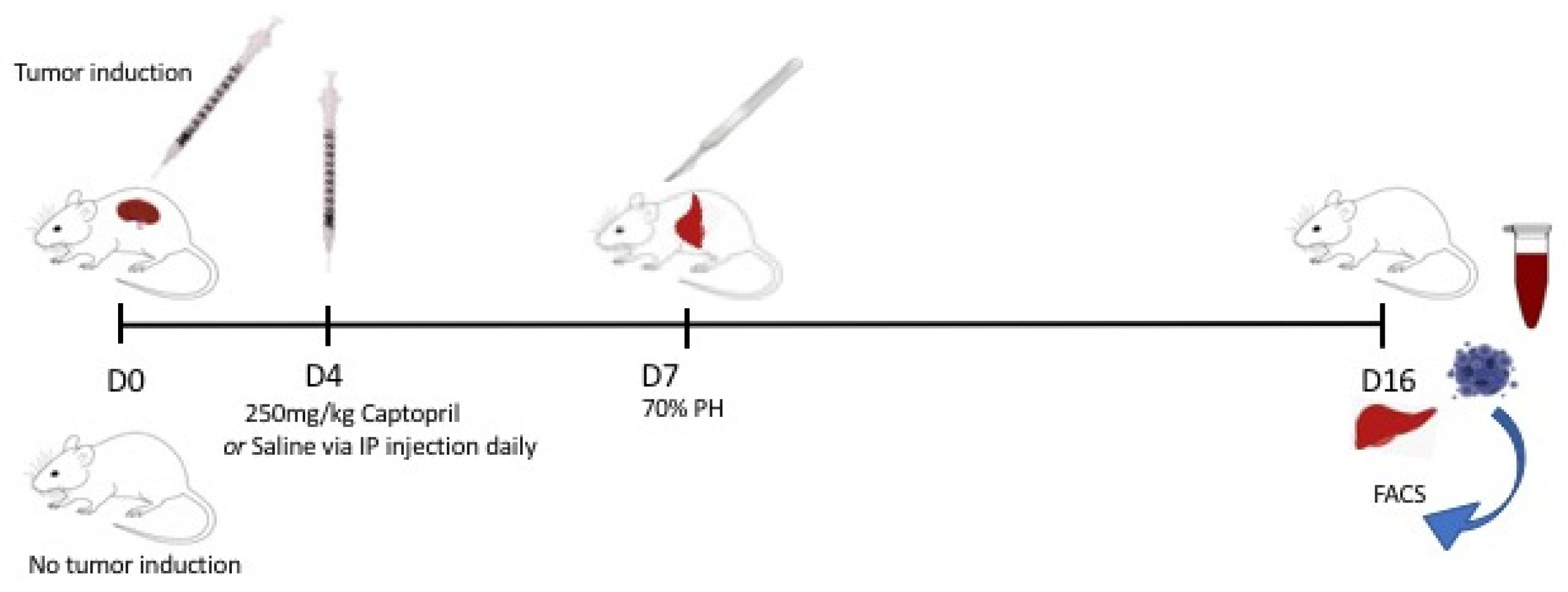 Ijms 23 05281 g006 Ijms 23 05281 g006