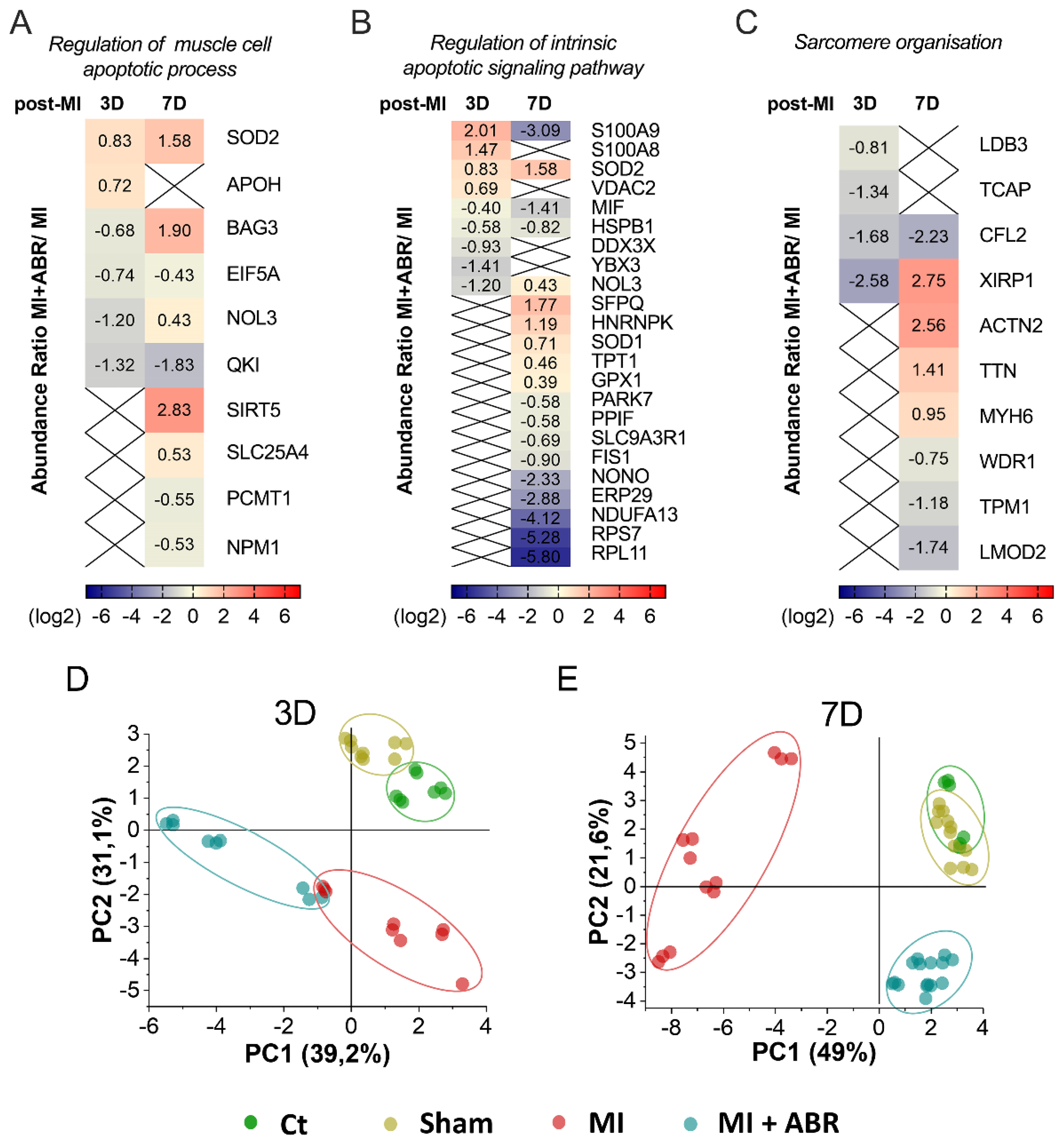 Ijms 23 05289 g004 Ijms 23 05289 g004